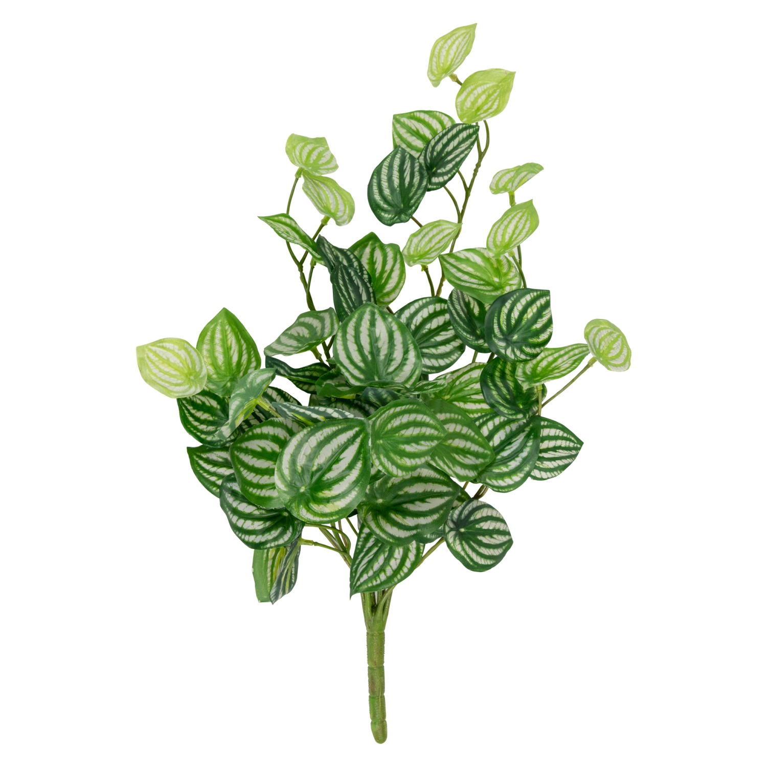 16" Large Peperomia Watermelon Leaves Artificial Plant