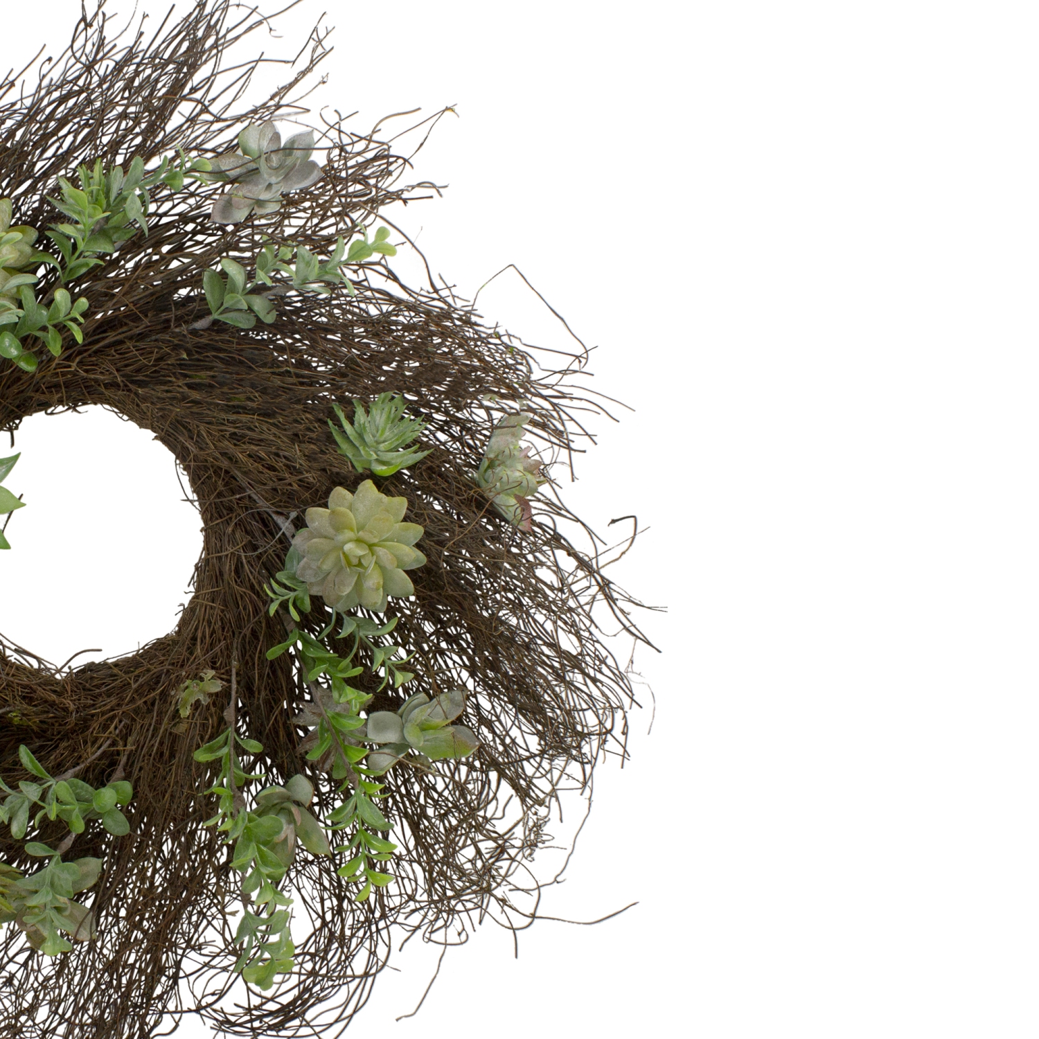 Eucalyptus and Succulents Artificial Twig Wreath - 22-Inch