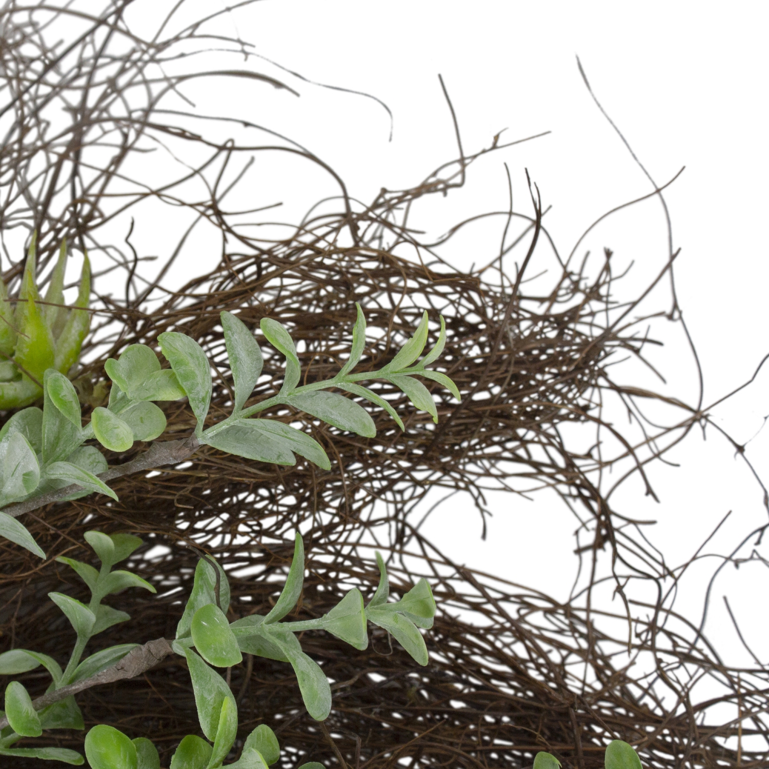 Eucalyptus and Succulents Artificial Twig Wreath - 22-Inch