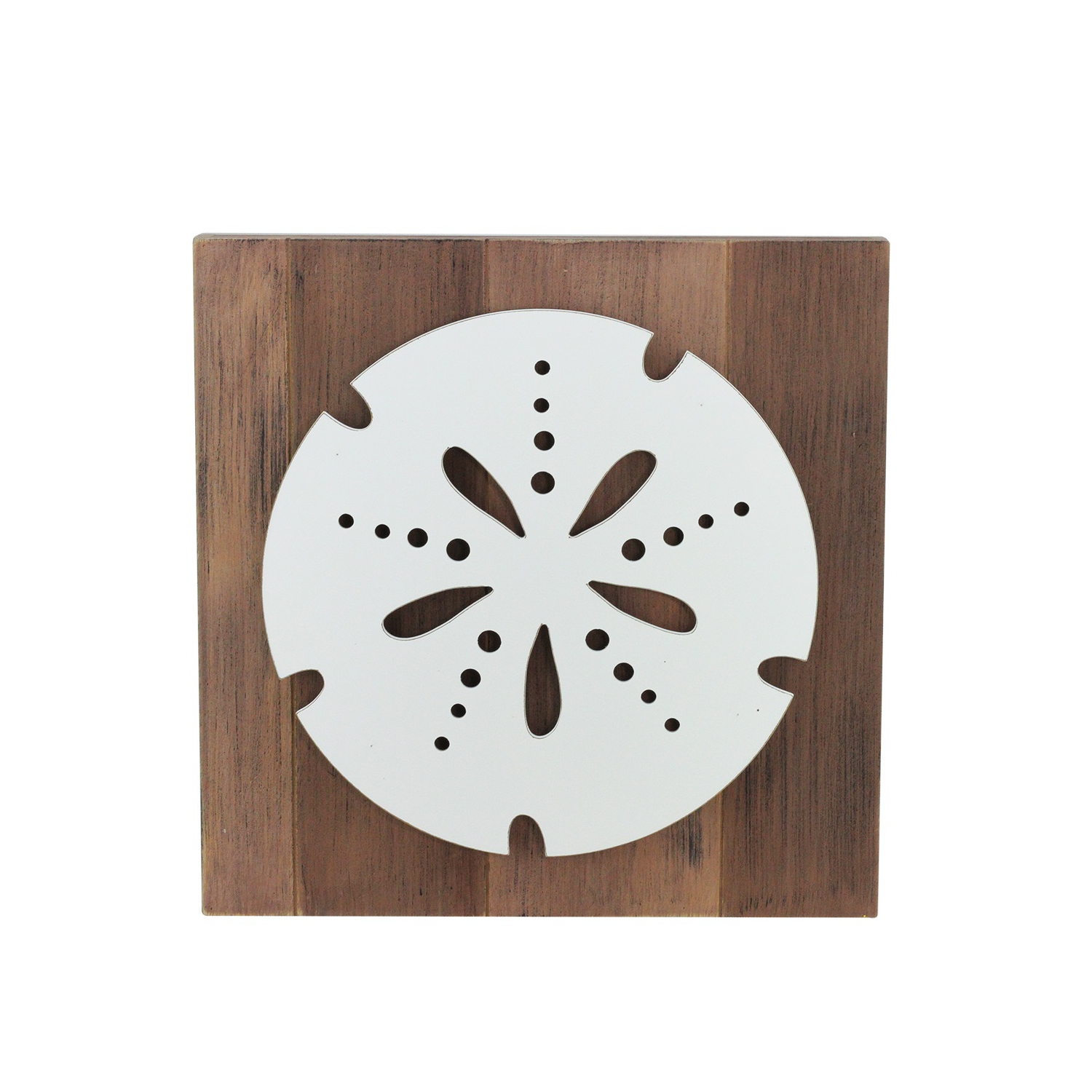 15.75" White and Brown Sand Dollar Decorative Wall Plaque