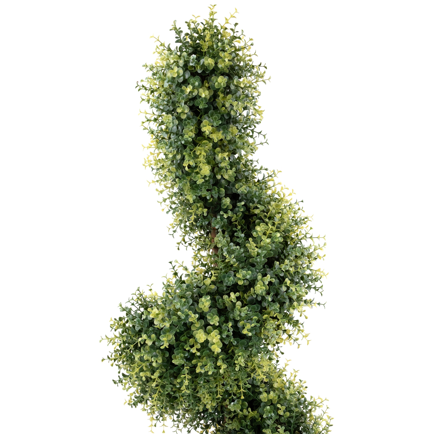 5.5' Potted Two-Tone Artificial Boxwood Spiral Topiary Tree