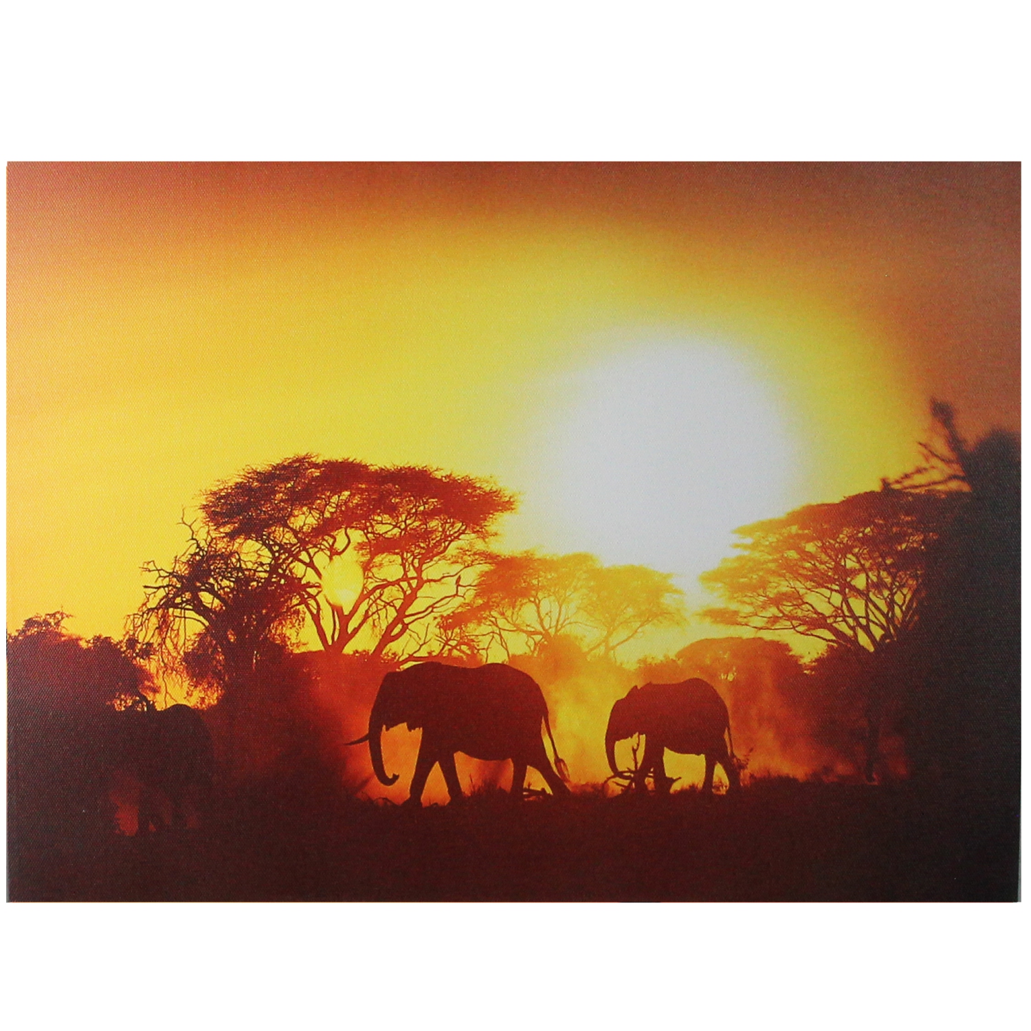 Safari Sunset LED Back Lit Decorative Elephant Canvas Wall Art 11.75" x 15.75"
