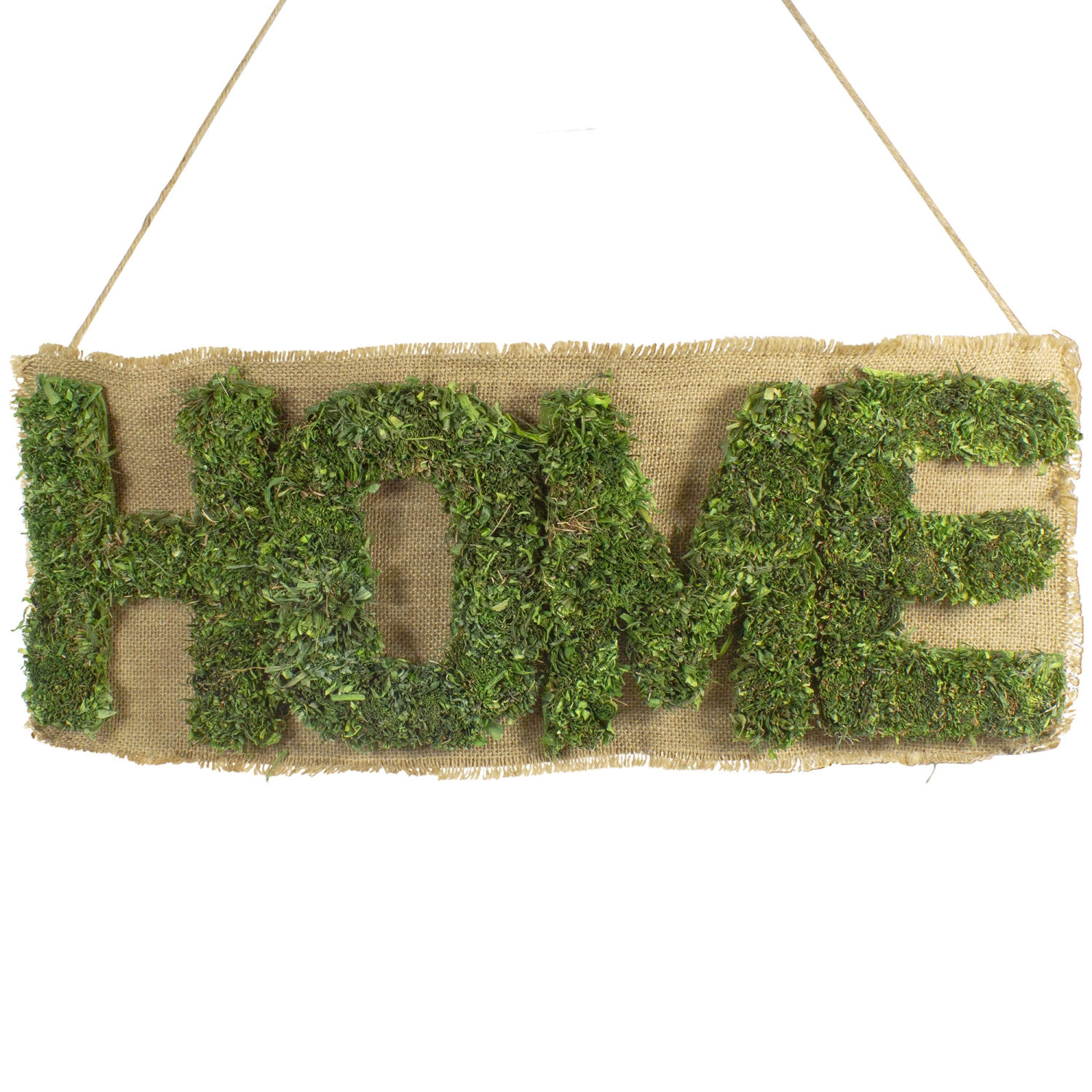 Décoration murale suspendue «&nbsp;Home&nbsp;», 24 po, brun et vert