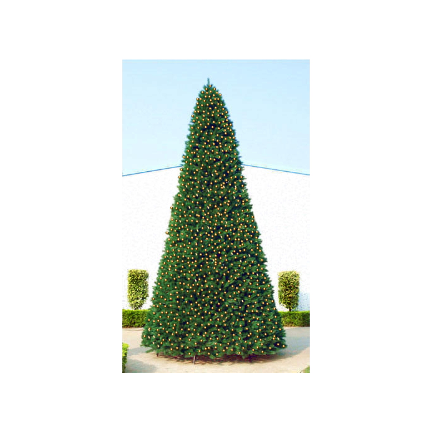 15' Pre-Lit Green Pencil Pine Artificial Christmas Tree - Clear Lights
