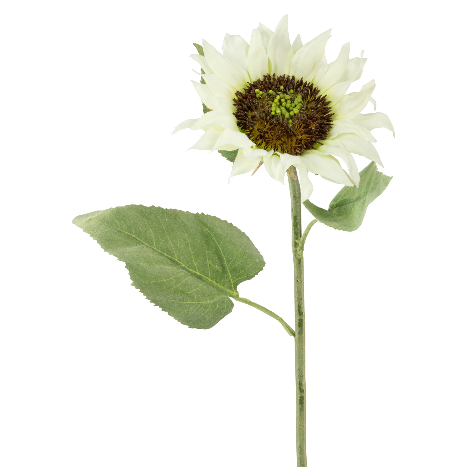 Piquet floral ivoire en soie artificielle de tournesol, 25 po