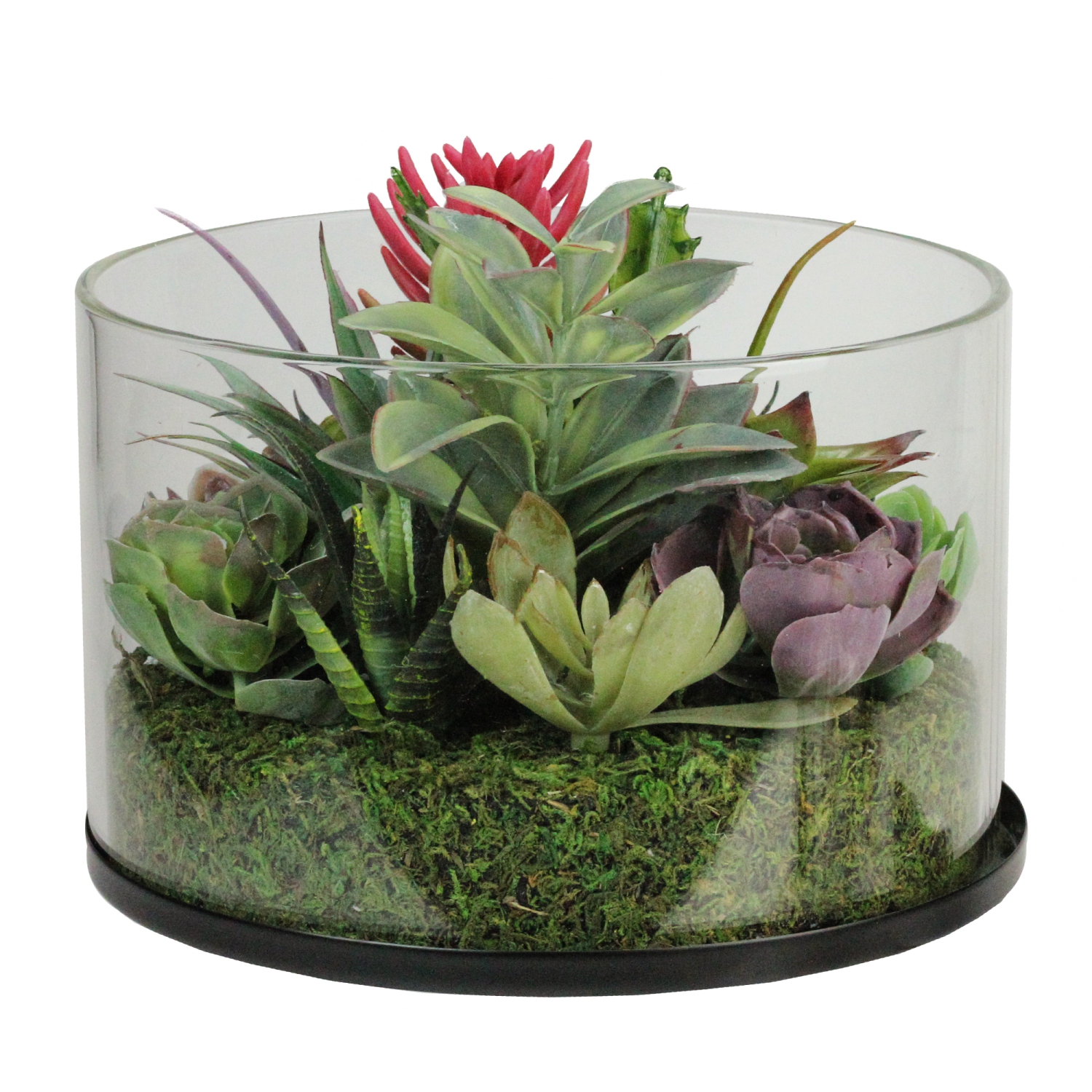 Arrangement artificiel de plantes succulentes de 8 po dans un pot en verre rond