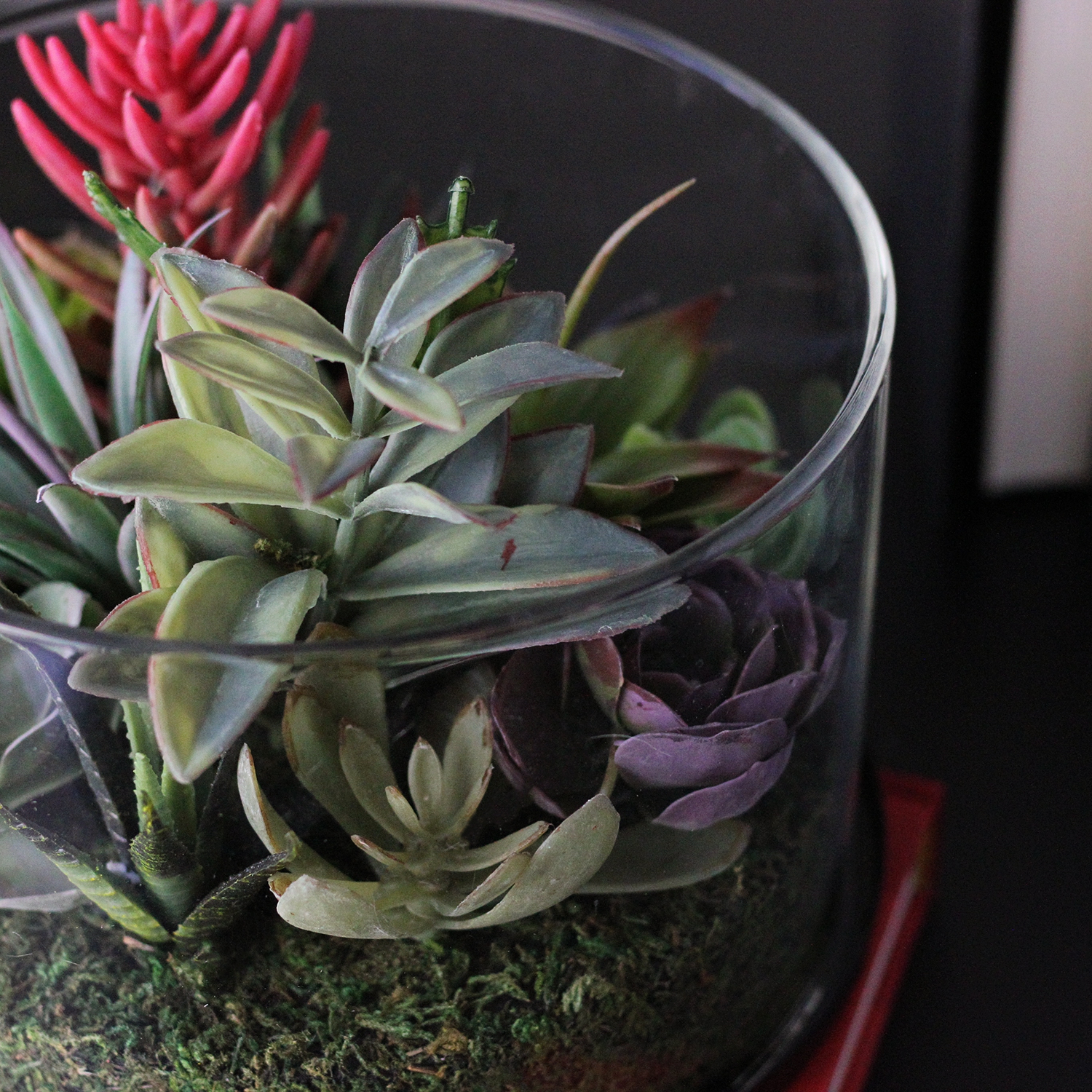 Arrangement artificiel de plantes succulentes de 8 po dans un pot en verre rond