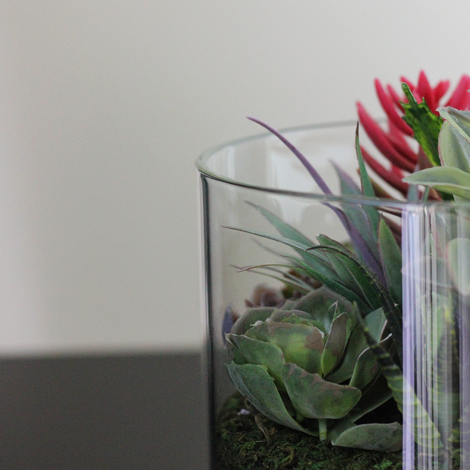 Arrangement artificiel de plantes succulentes de 8 po dans un pot en verre rond