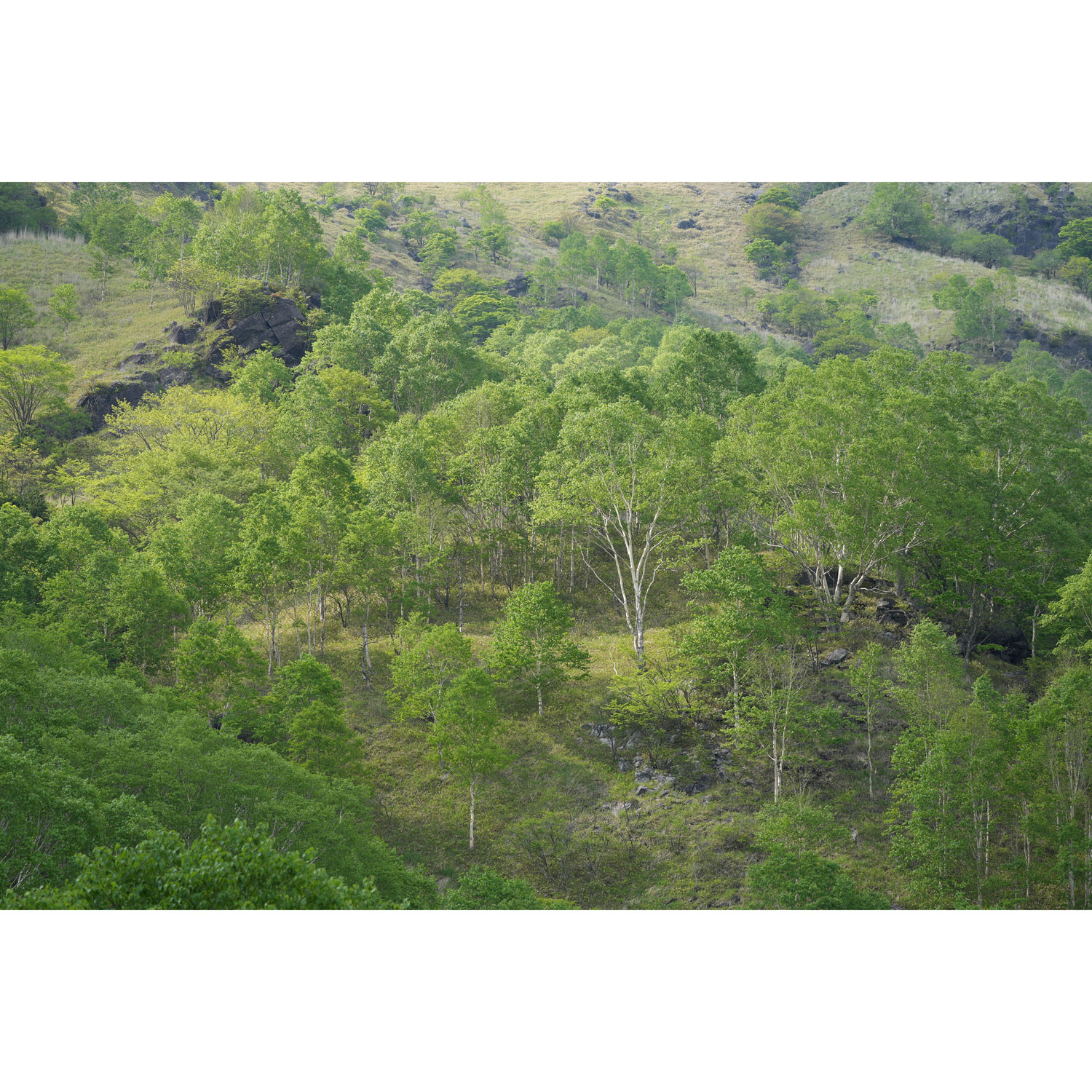 Téléobjectif zoom plein format à monture E FE 100-400 mm f/4,5-5,6 GM OSS G Master de Sony