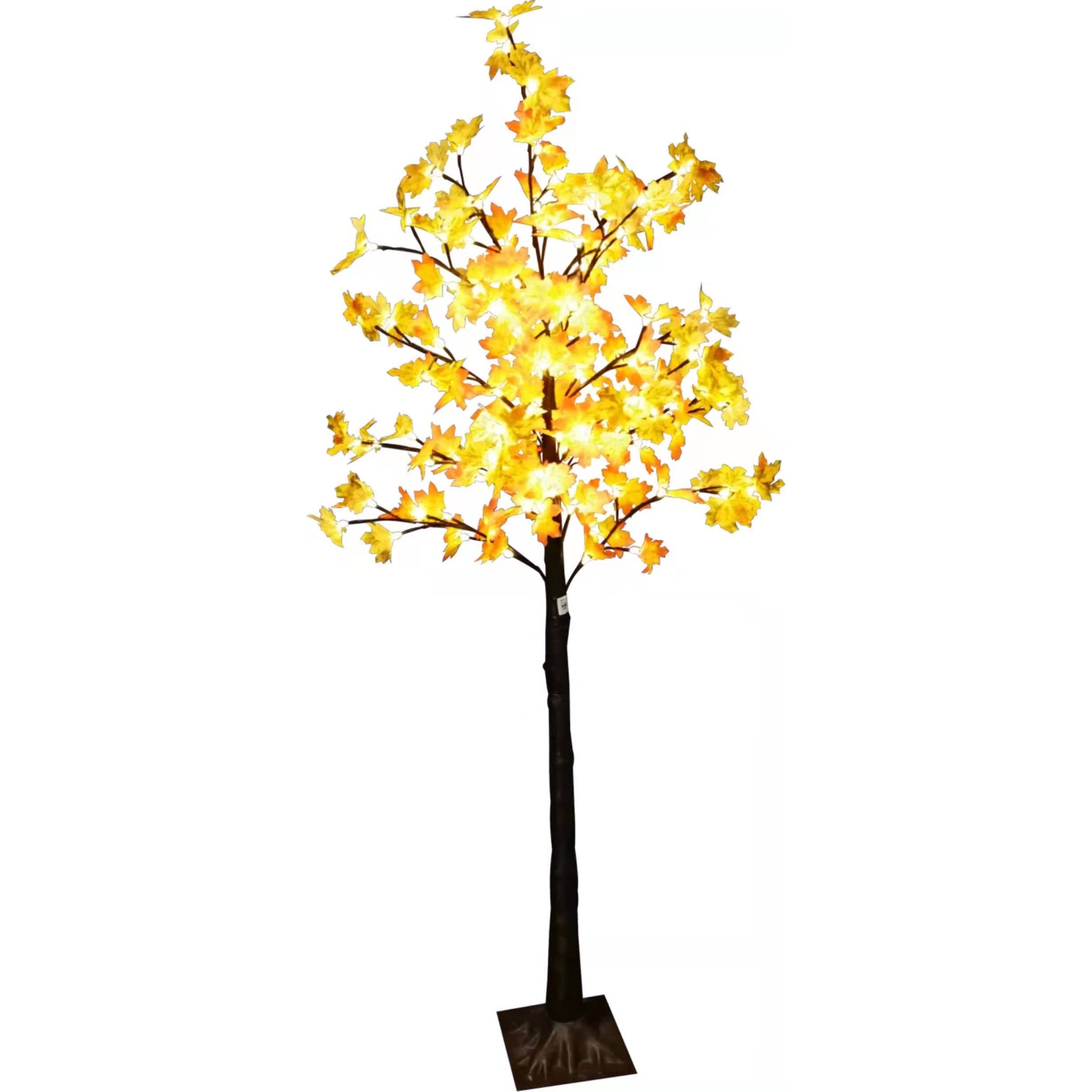 Maple tree light