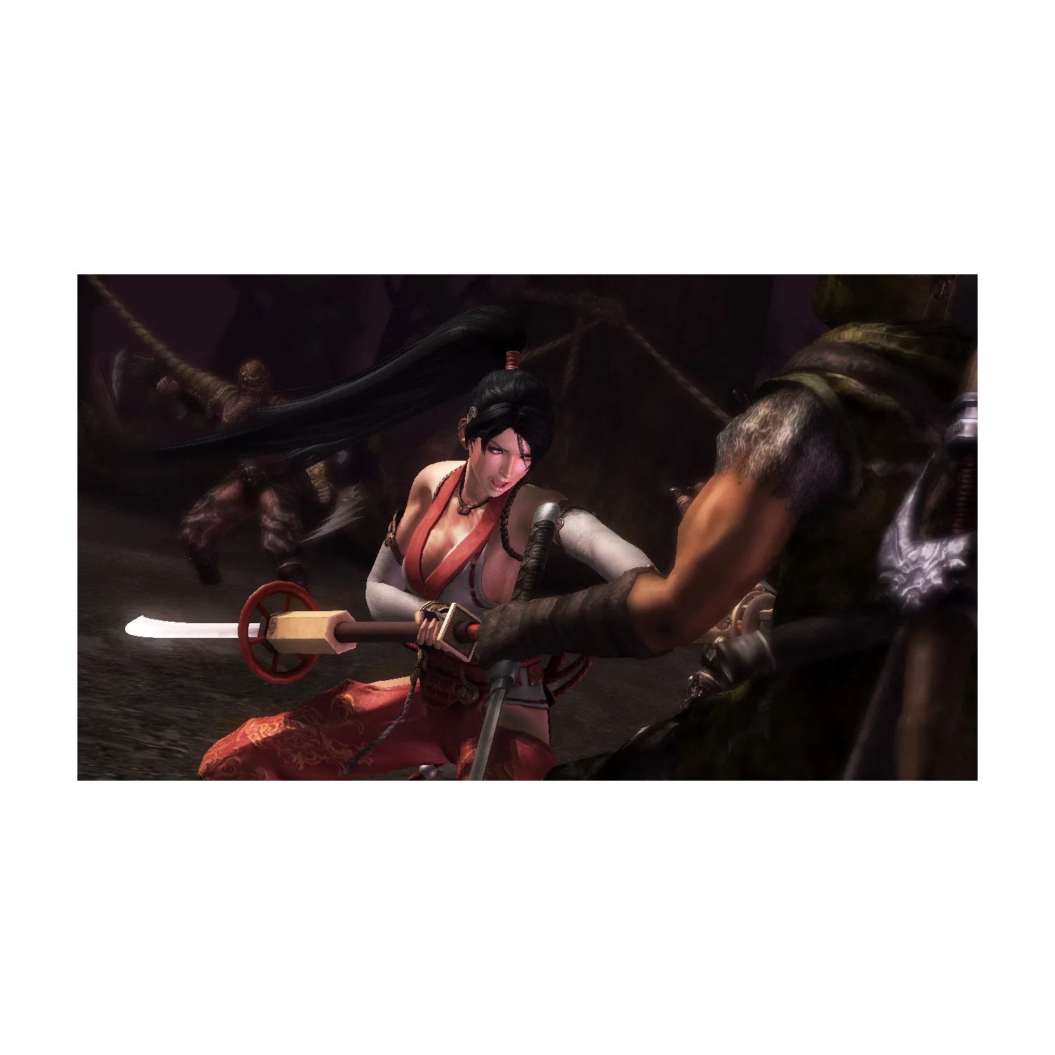 Ninja Gaiden: Master Collection [Nintendo Switch]