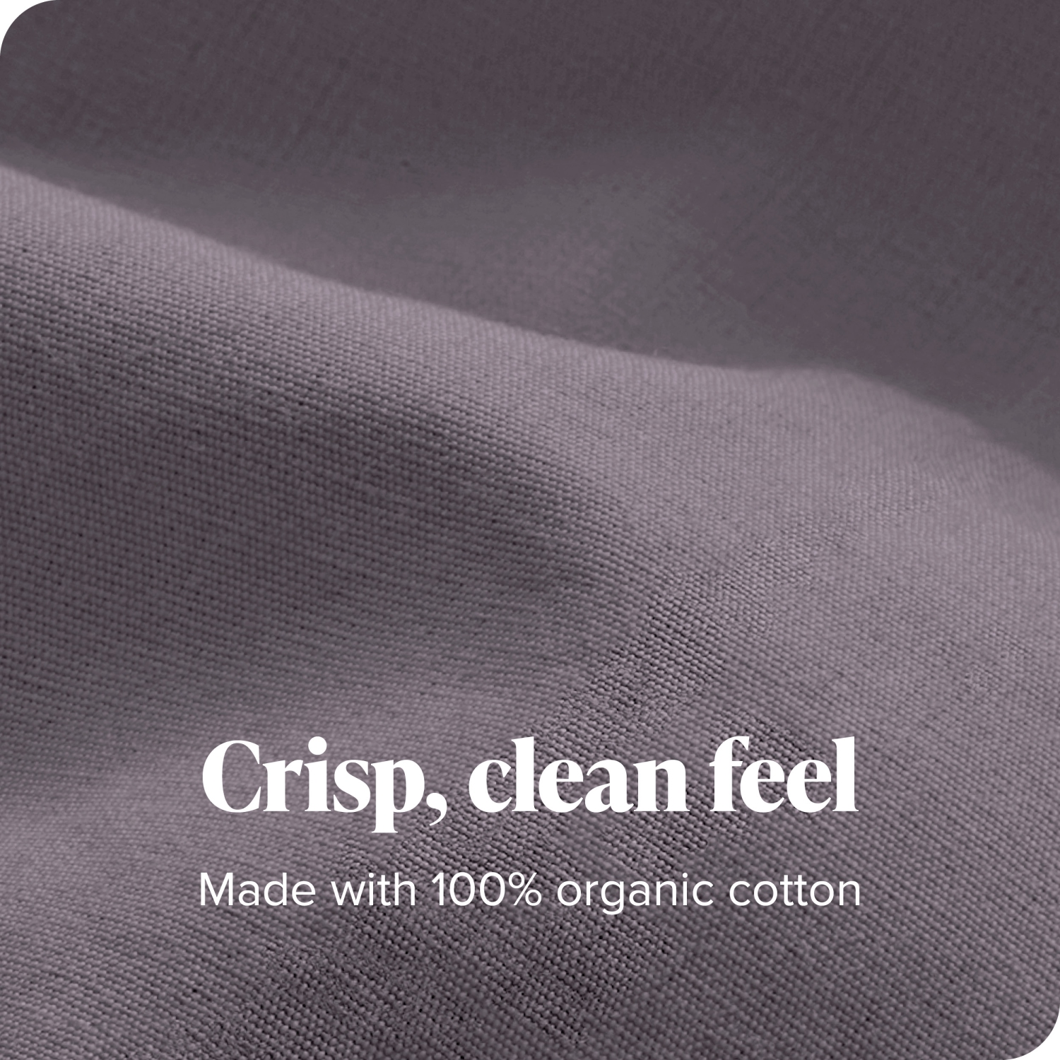 ENS. Housse de douillette 100 % coton biologique Bare Home - tissage percale Crisp - léger et respirant - Violet poussiéreux, simple/jumeau TG