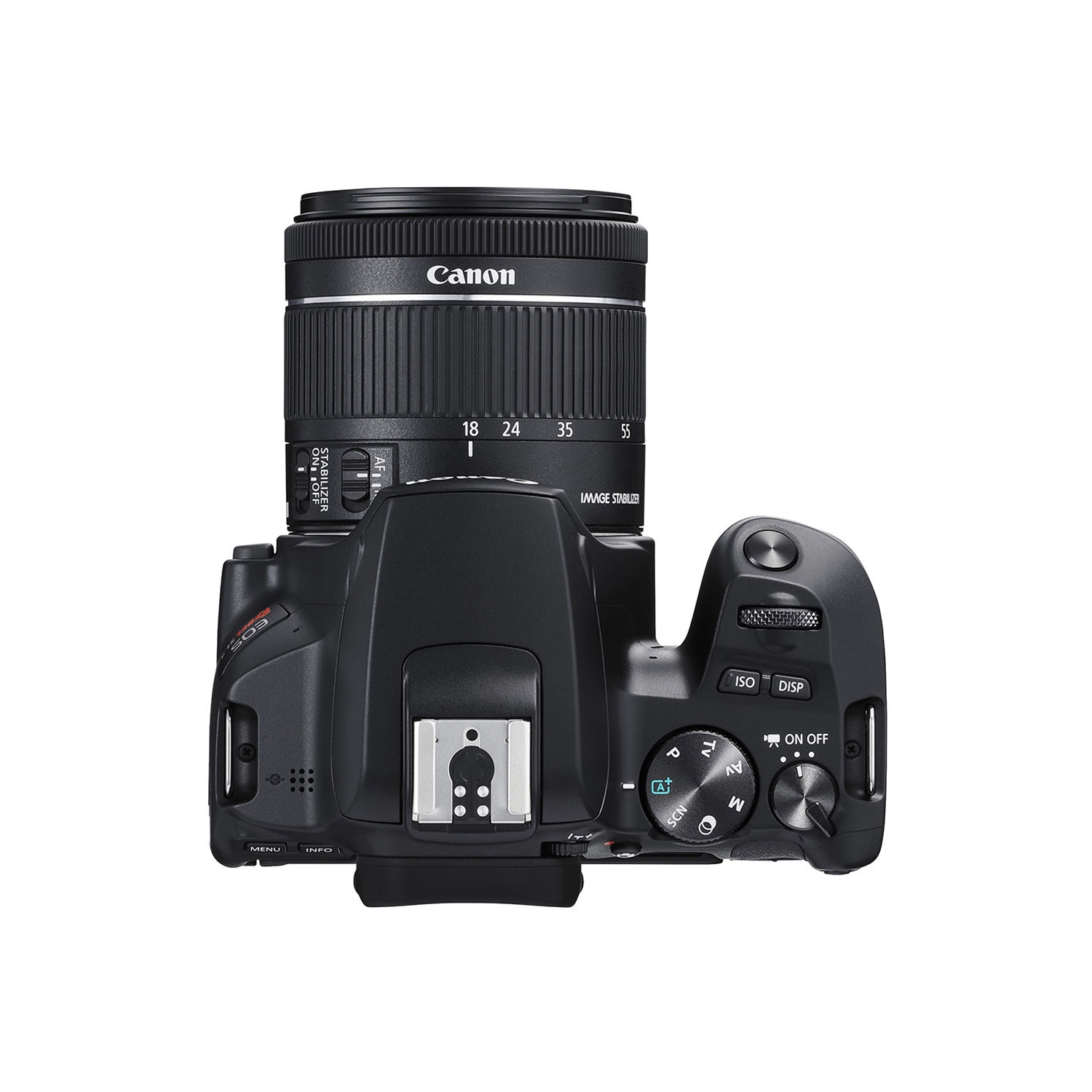 Canon EOS Rebel SL3 DSLR Camera with 18-55mm Lens (3453C002) Allrounder Bundle