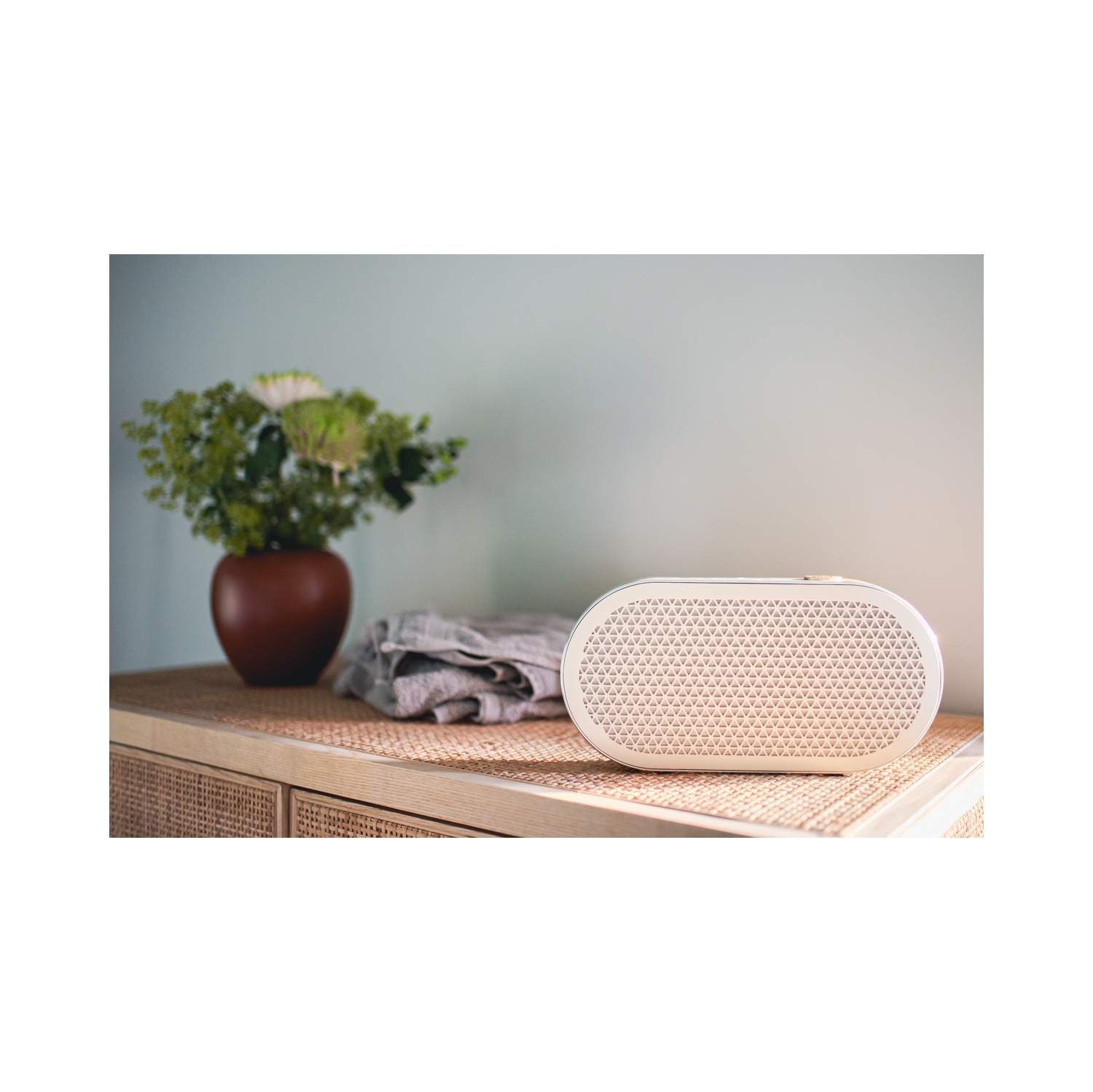 DALI Katch G2 Portable Bluetooth Speaker