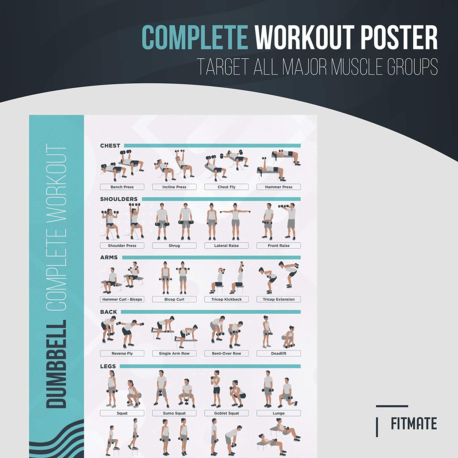 FitMate Dumbbell Workout Exercise Poster - Workout Routine with Free Weights, Home Gym Decor, Room Guide