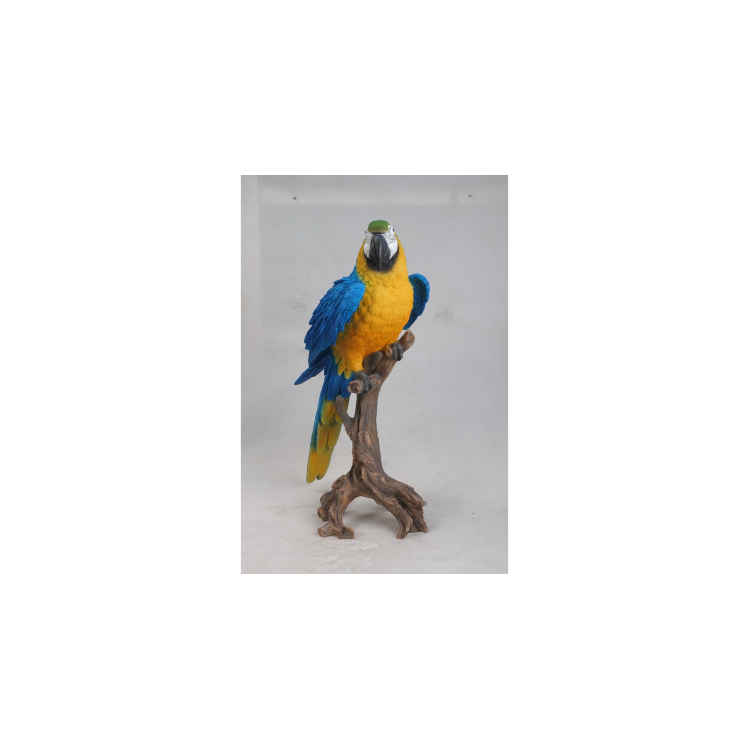 Hi-Line Gift Ltd Large Blue/Yellow Macaw Garden Statue