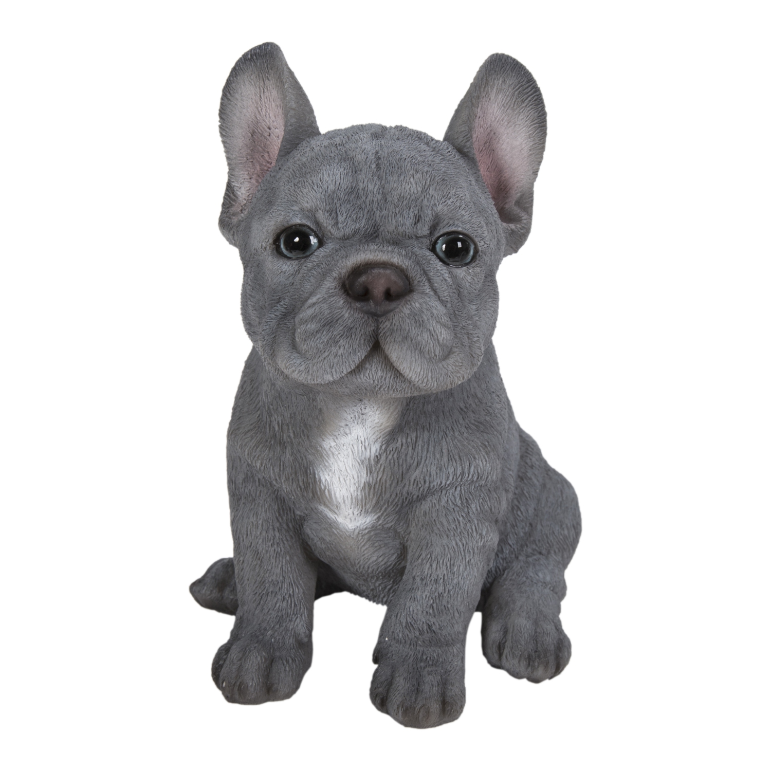 Hi-Line Gift Ltd Blue French Bulldog Puppy Sitting Garden Statue