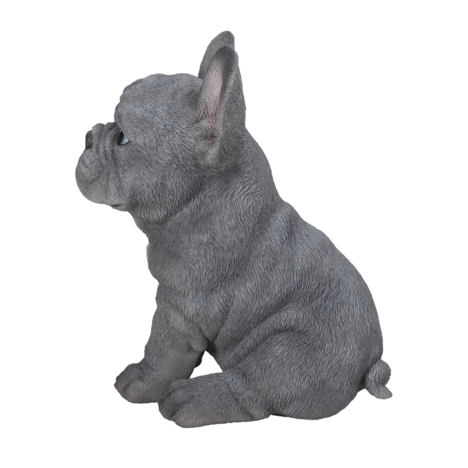 Hi-Line Gift Ltd Blue French Bulldog Puppy Sitting Garden Statue