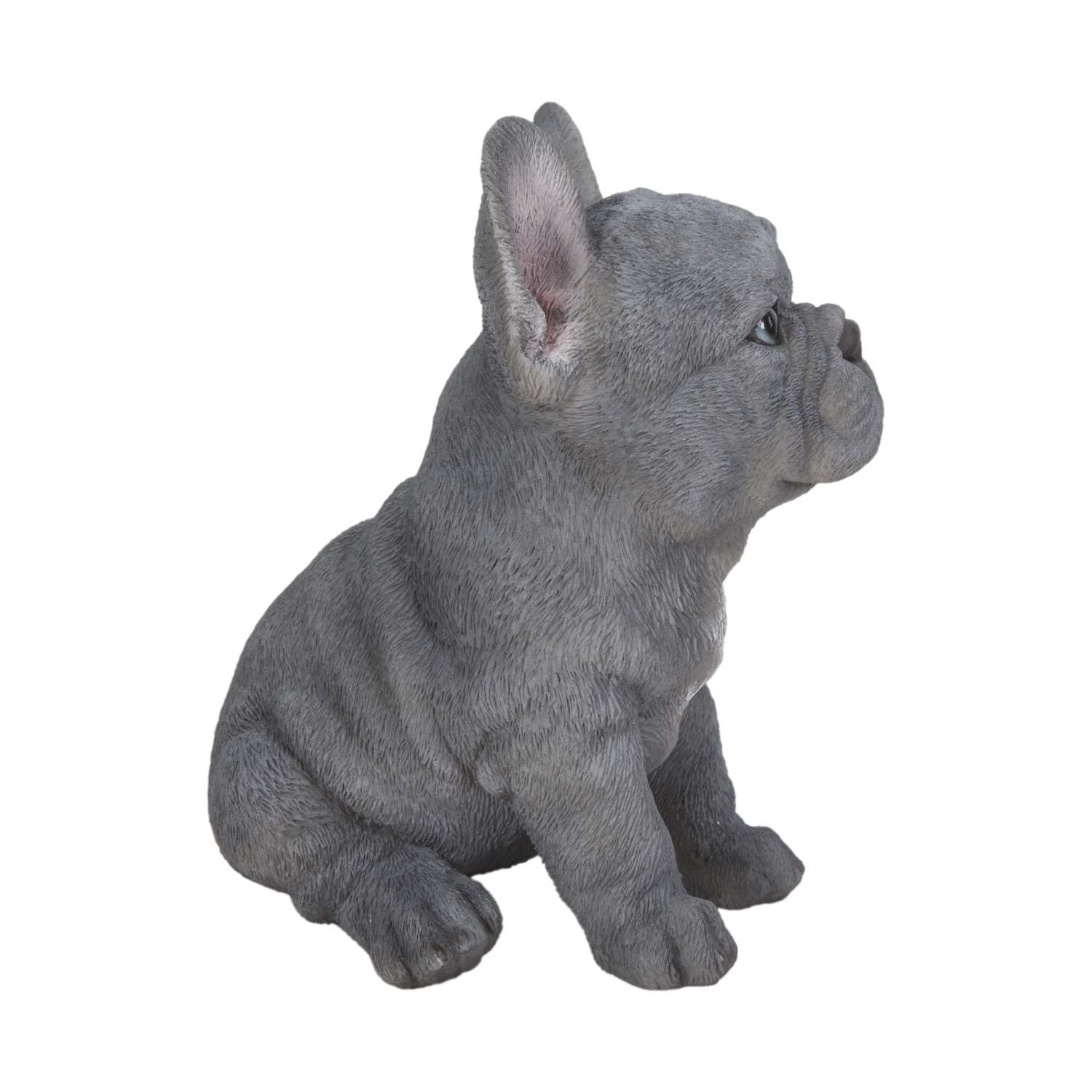 Hi-Line Gift Ltd Blue French Bulldog Puppy Sitting Garden Statue