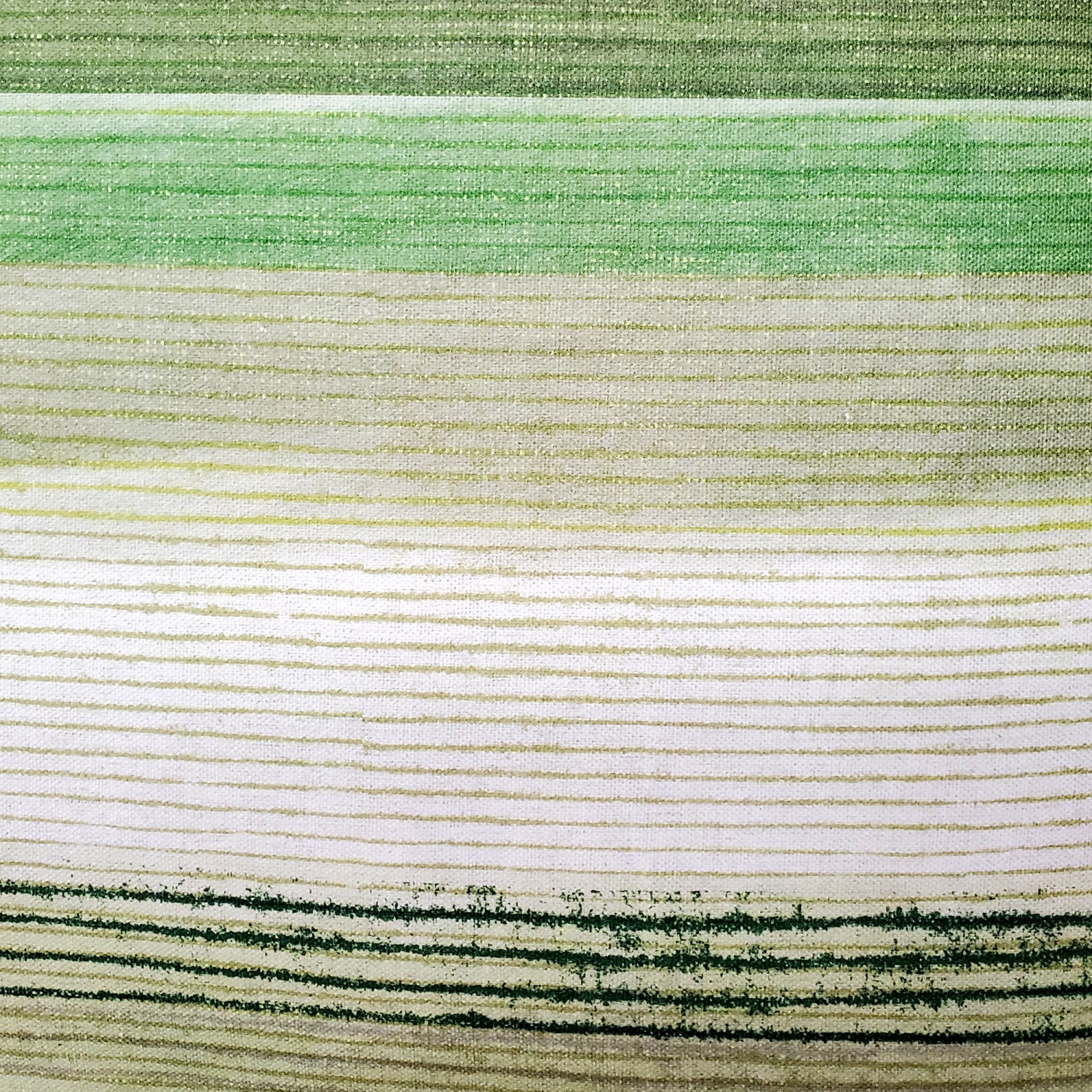 Sedona Stripes Green Throw Pillow, 20"x20"