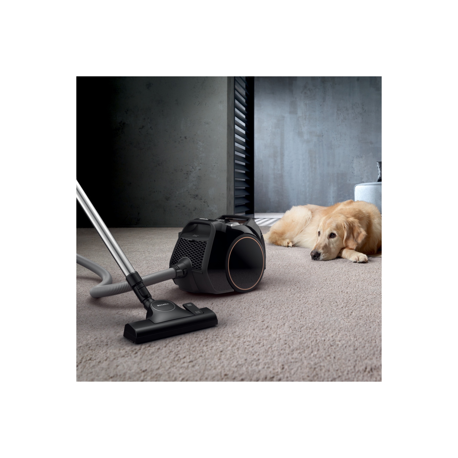 Aspirateur-traîneau compact sans sac Boost CX1 Cat & Dog de Miele – Garantie de 5 ans