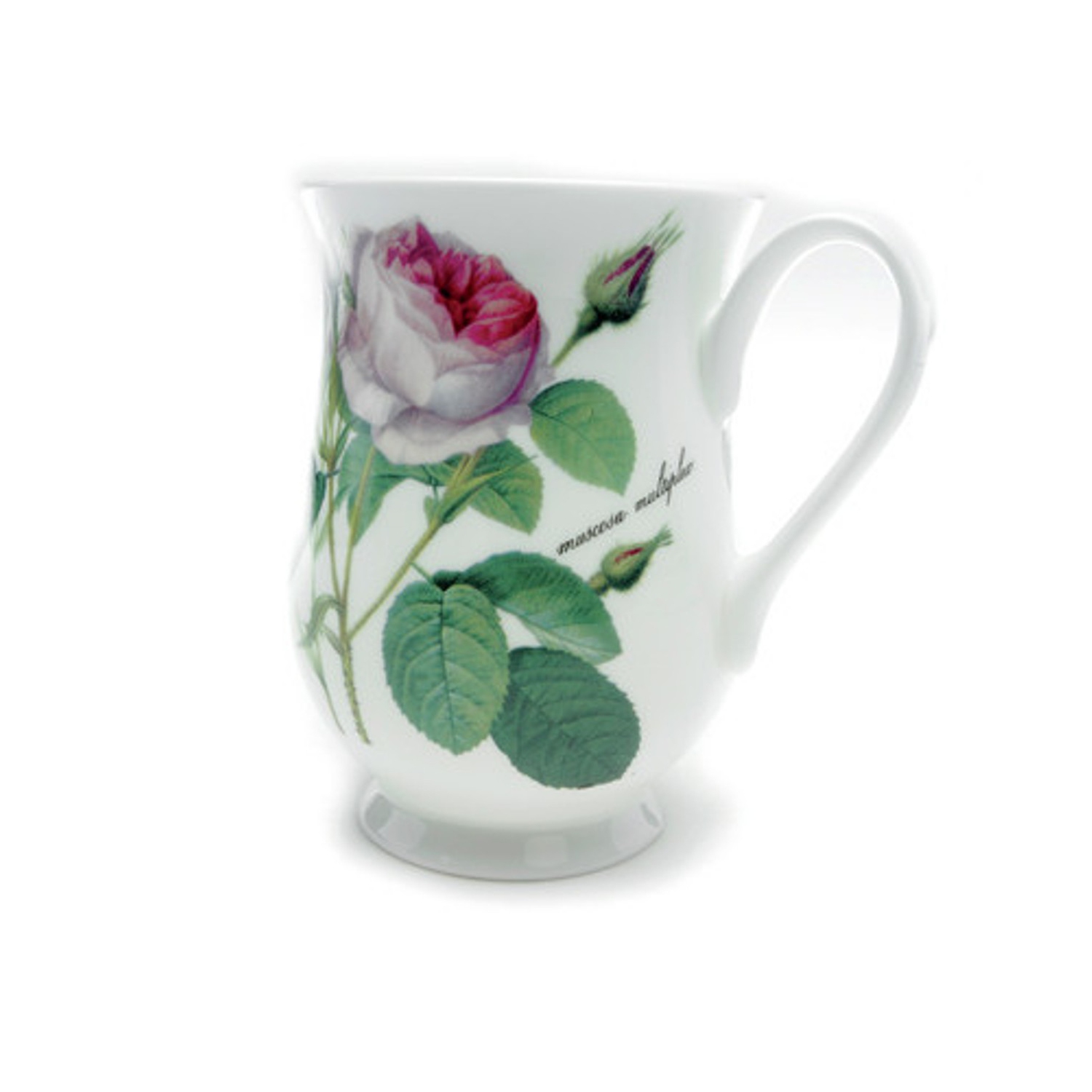 Eleanor Mug Set of 2 - Redoute Rose