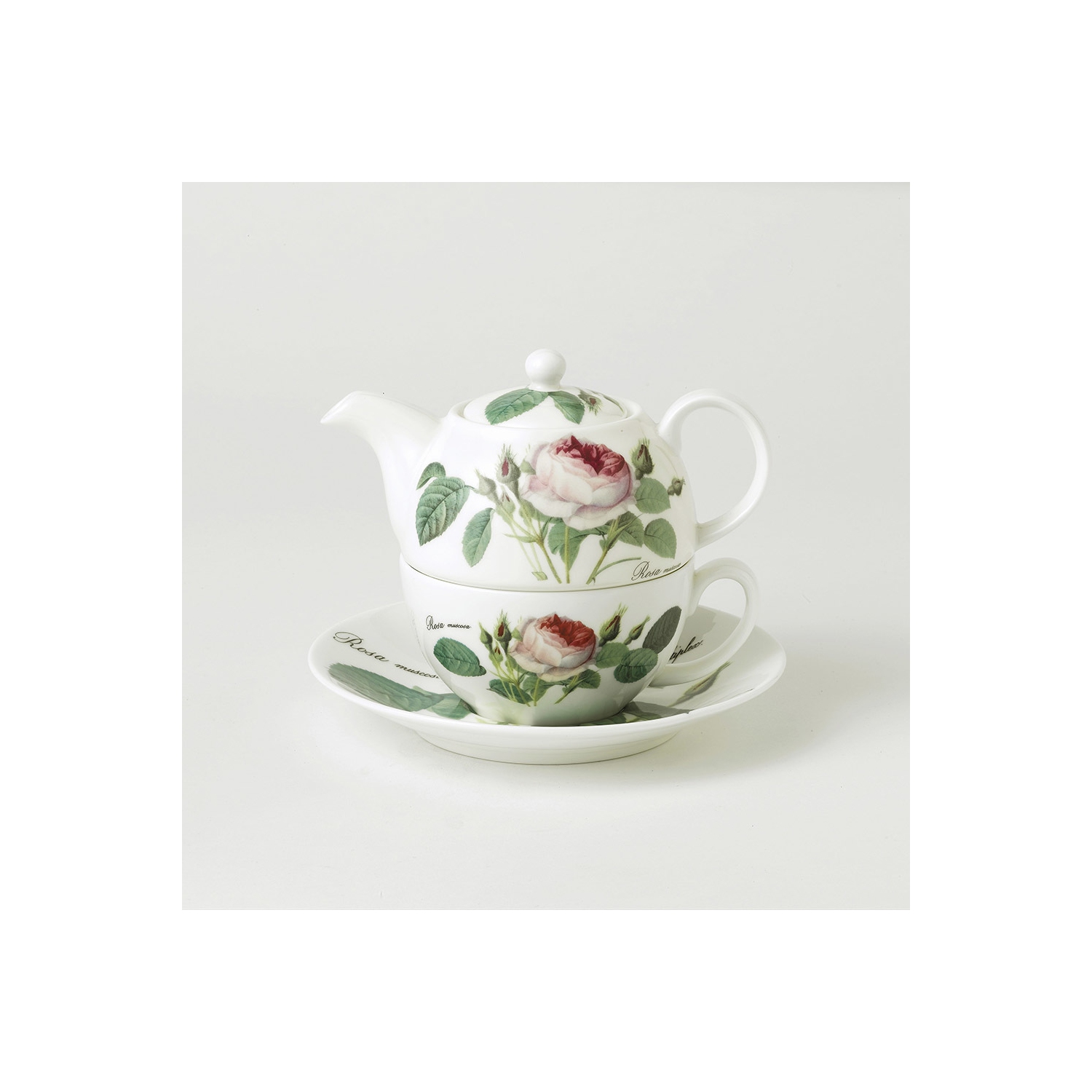 Tea for One Teapot with Tea Cup and Saucer - Redoute Rose