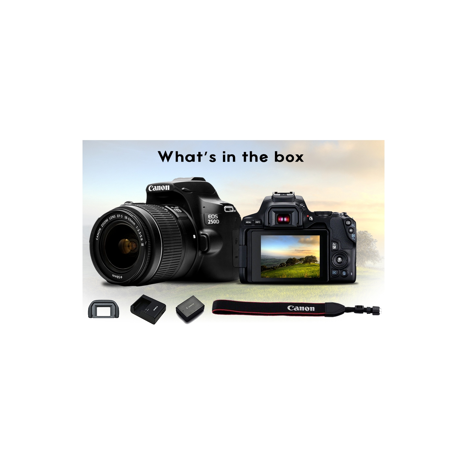 Canon EOS 250D / Rebel SL3 DSLR Camera w 18-55mm Lens + Creative Filter Set, EOS Camera (International Version)