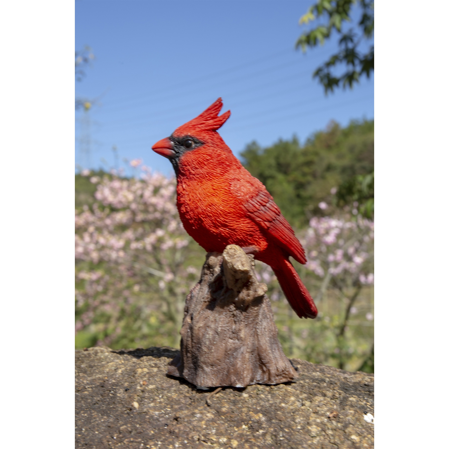 Hi-Line Gift Ltd Motion Activated Singing Cardinal Standing On Stump