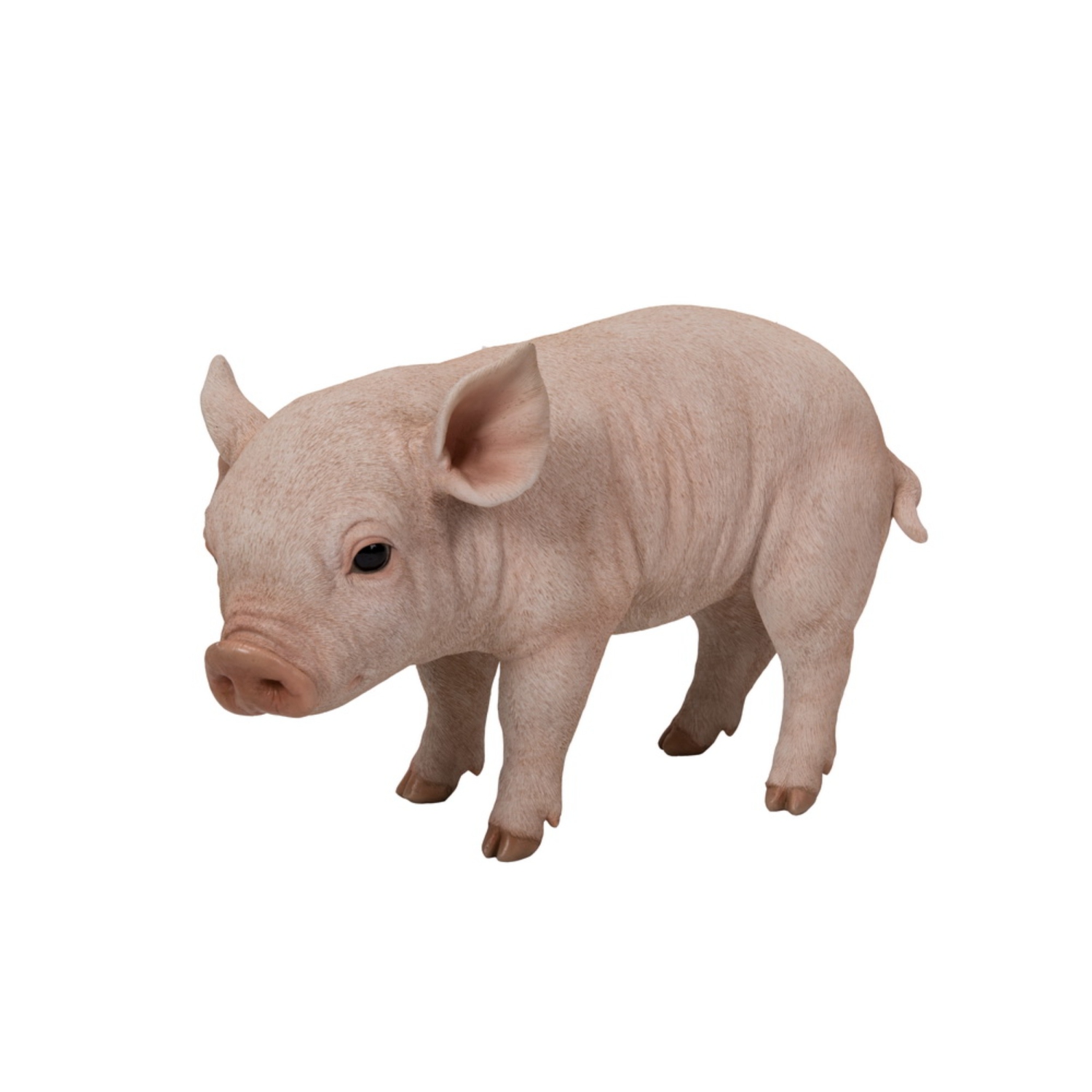 Hi-Line Gift Ltd Standing Baby Pig