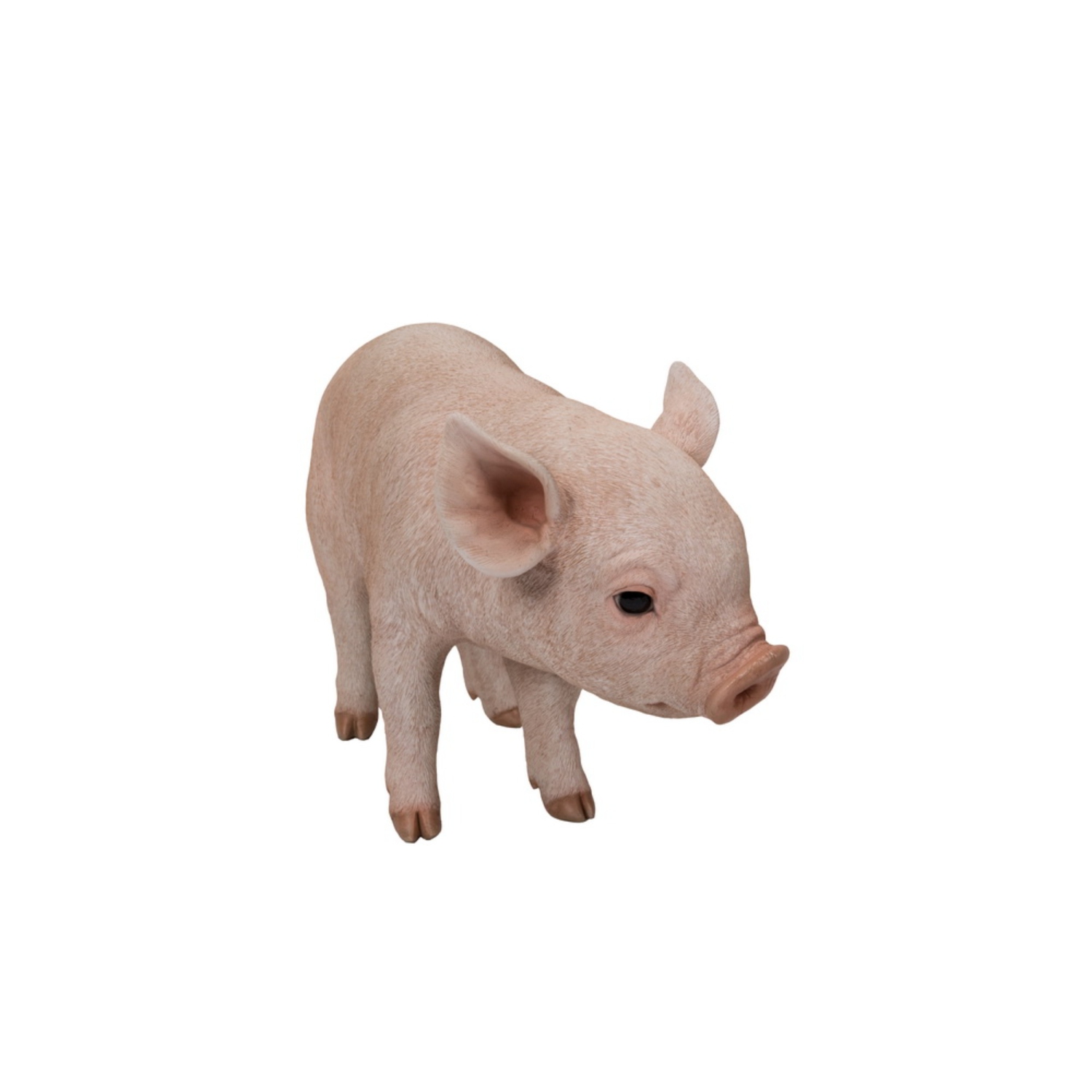 Hi-Line Gift Ltd Standing Baby Pig