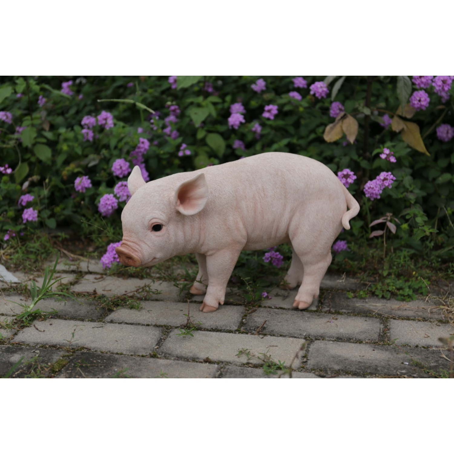 Hi-Line Gift Ltd Standing Baby Pig