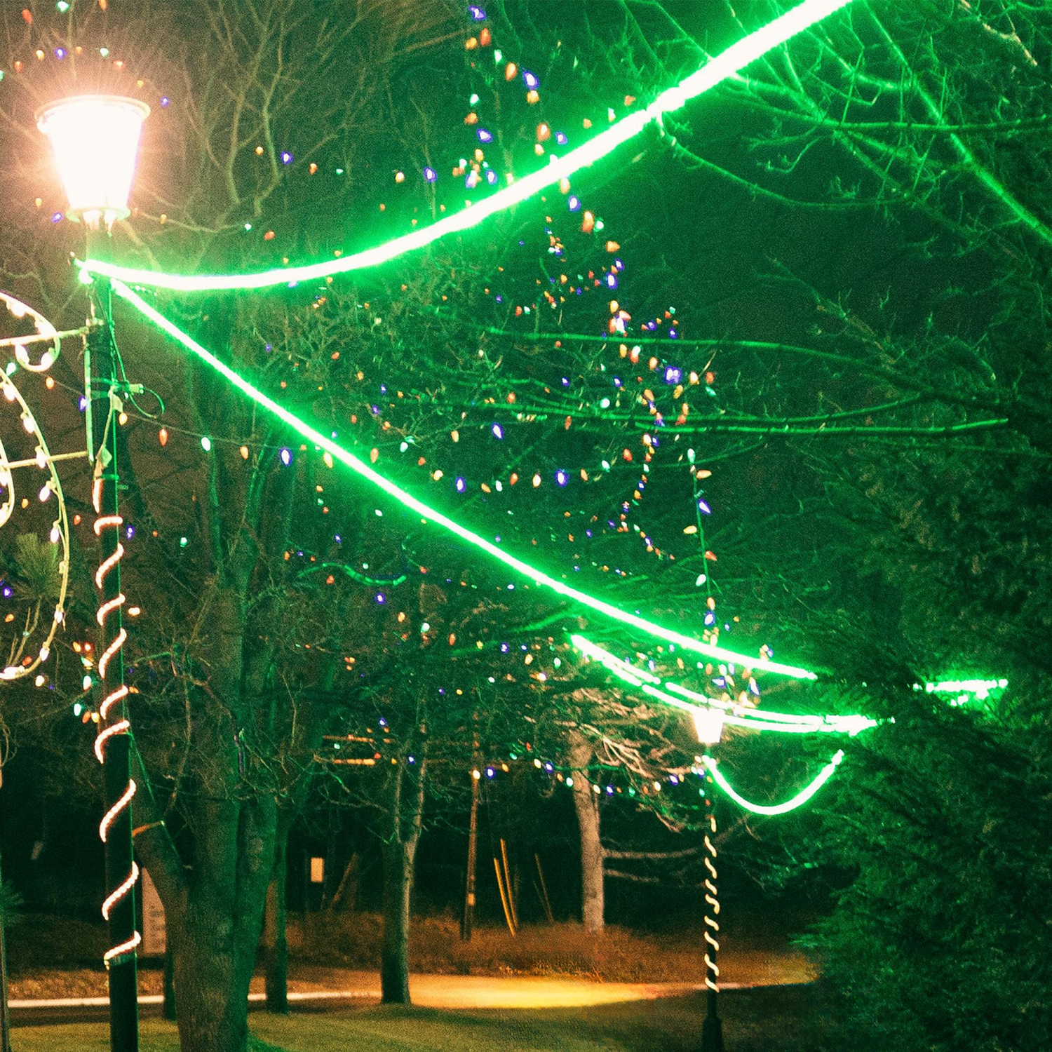18ft Green LED Christmas Rope Lights