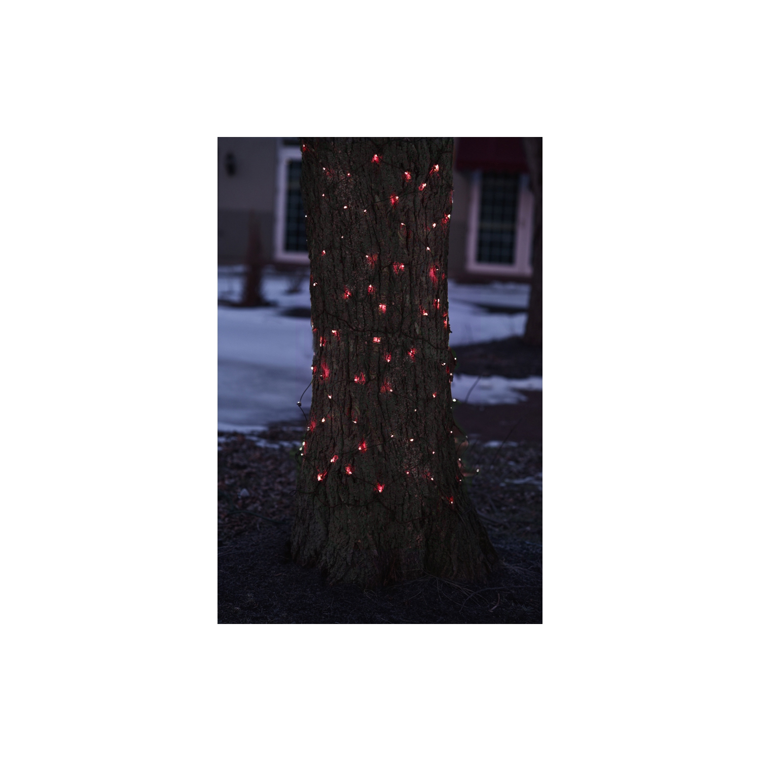 2' x 8' Red Mini Tree Trunk Wrap Christmas Net Lights - Brown Wire
