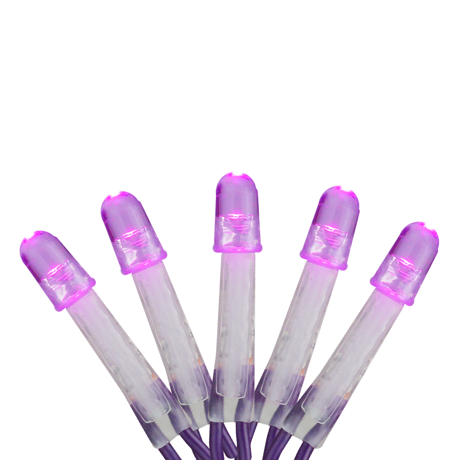 Filet de lumières de Noël à DEL mauve pour arbre de Noël, 2 x 8 pi – fil violet