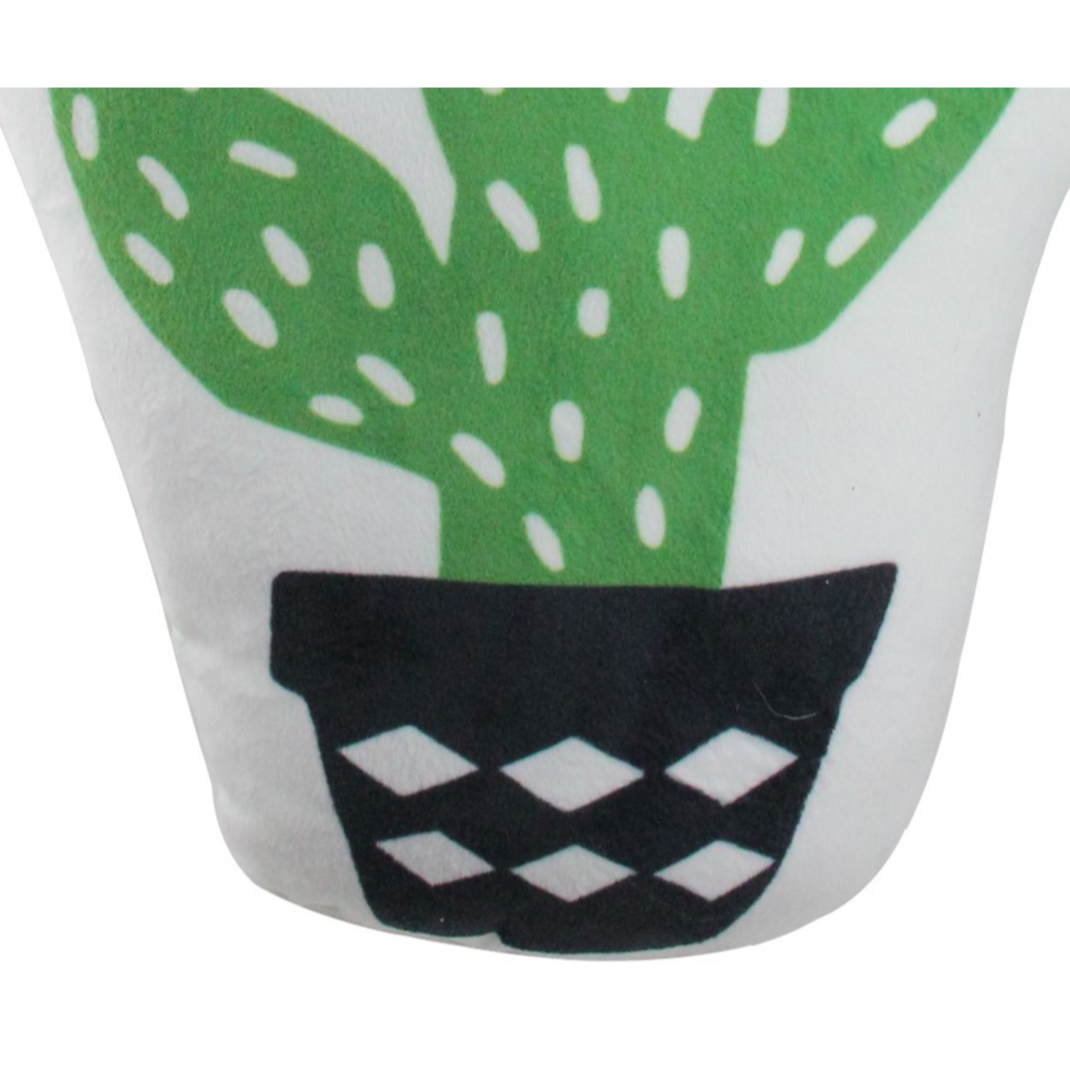 Coussin décoratif en molleton de cactus vert et blanc de 20 po