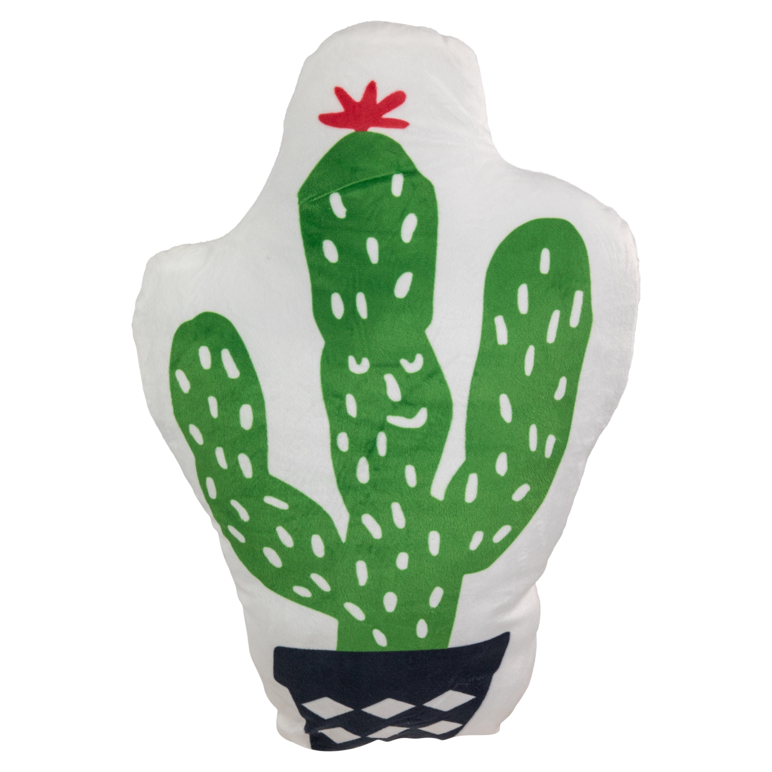 Coussin décoratif en molleton de cactus vert et blanc de 20 po