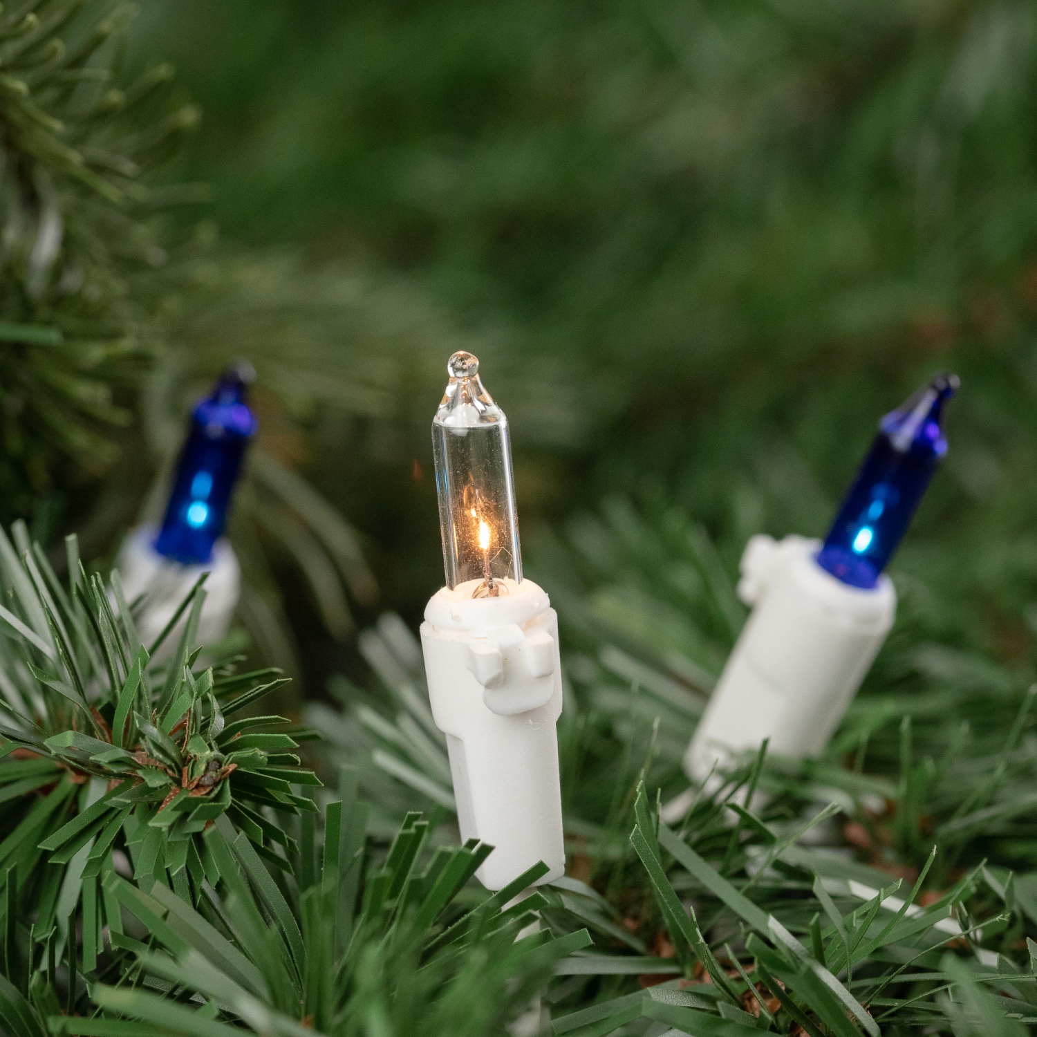 Set of 100 Blue & Clear Mini Christmas Lights 2.5" Spacing - White Wire