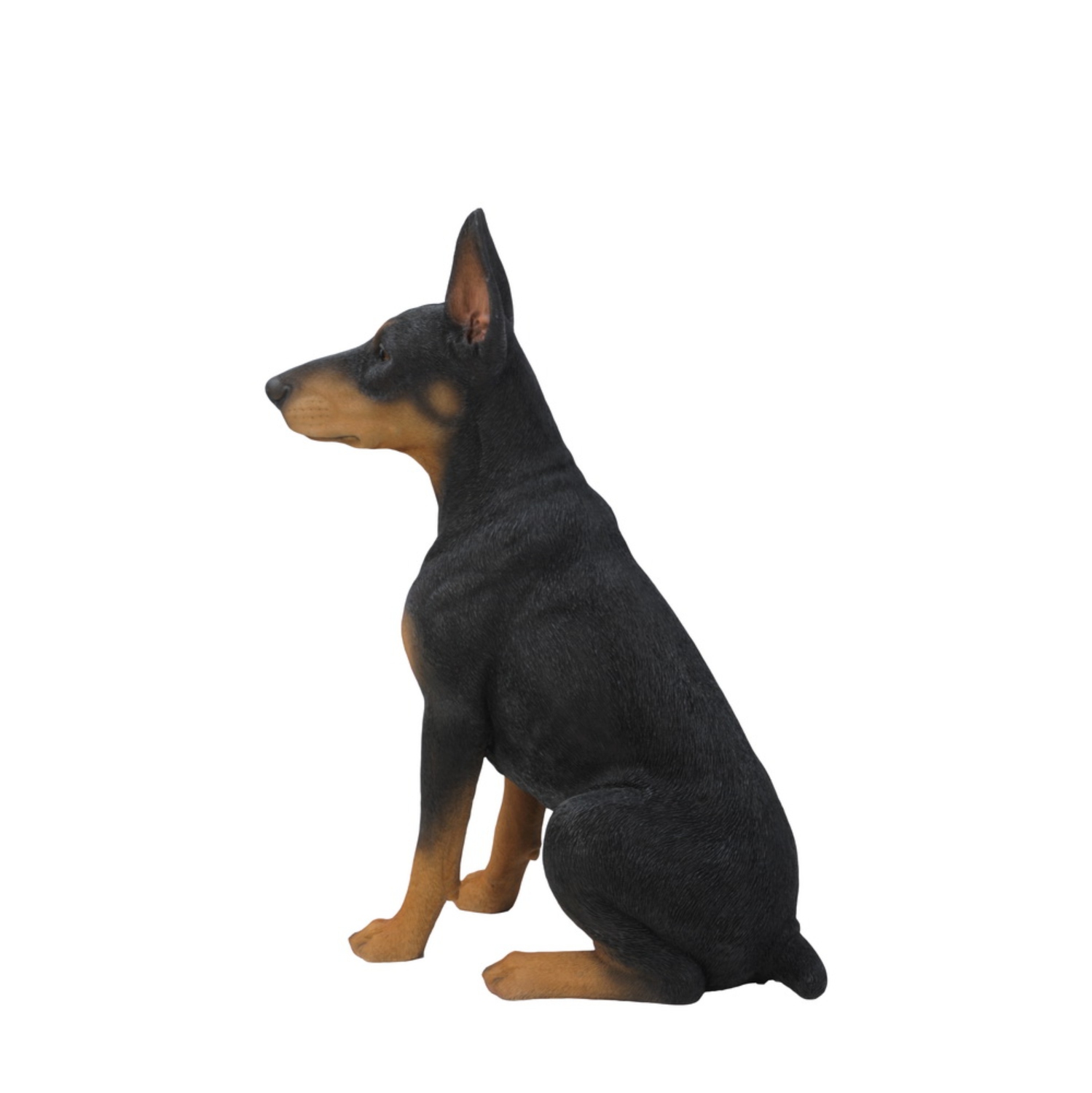 Hi-Line Gift Ltd Sitting Doberman Pinscher