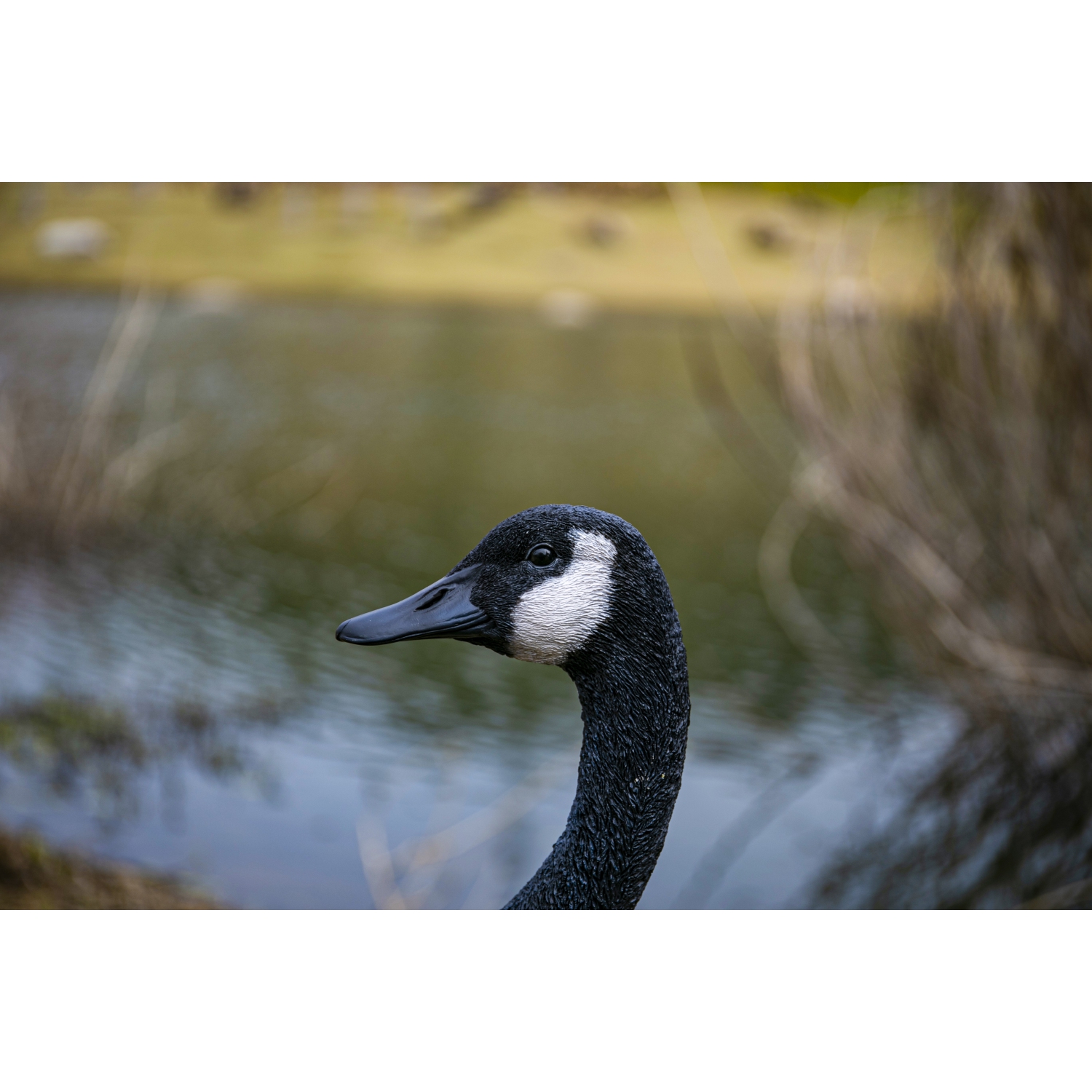 Hi-Line Gift Ltd Standing Canada Goose Garden Statue