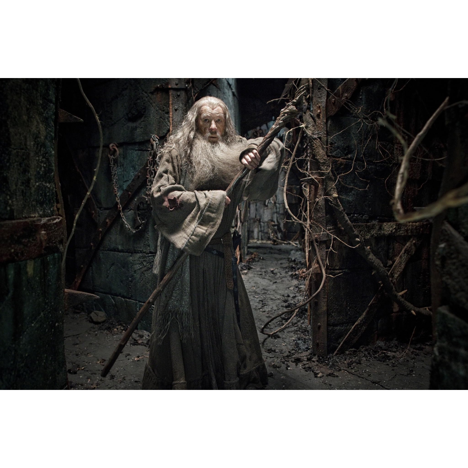 The Hobbit: The Desolation of Smaug