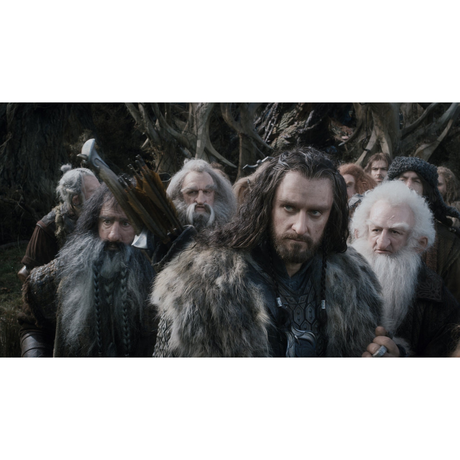 The Hobbit: The Desolation of Smaug