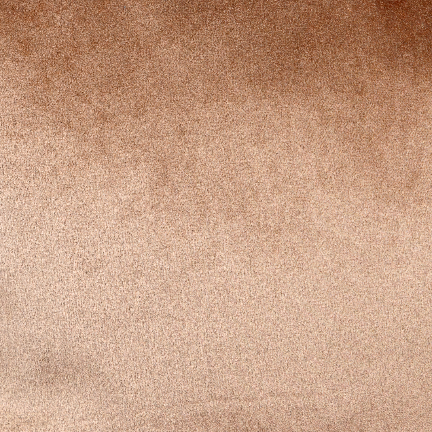 Coussin décoratif carré en velours pêche de 17 po avec bordure à passepoil