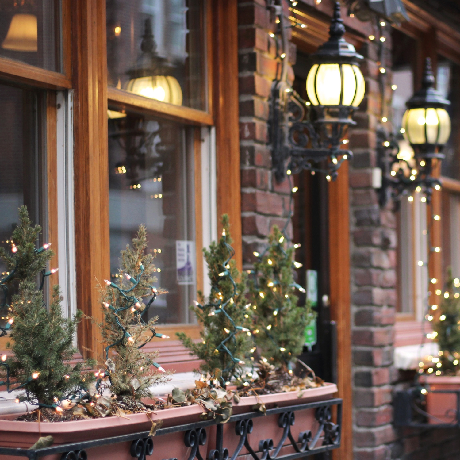 100-Count Clear Mini Christmas Light Set, 20.25ft Green Wire