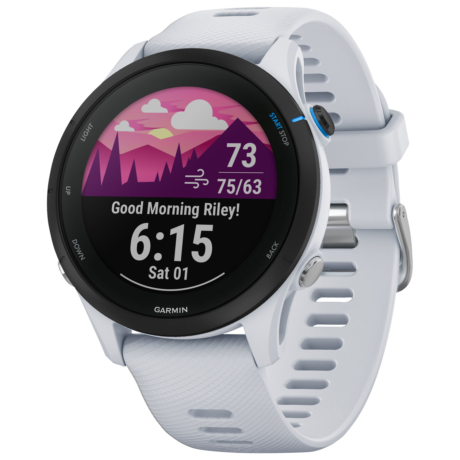 Garmin Forerunner 255 Music 46mm GPS Watch with Heart Rate Monitor - Whitestone