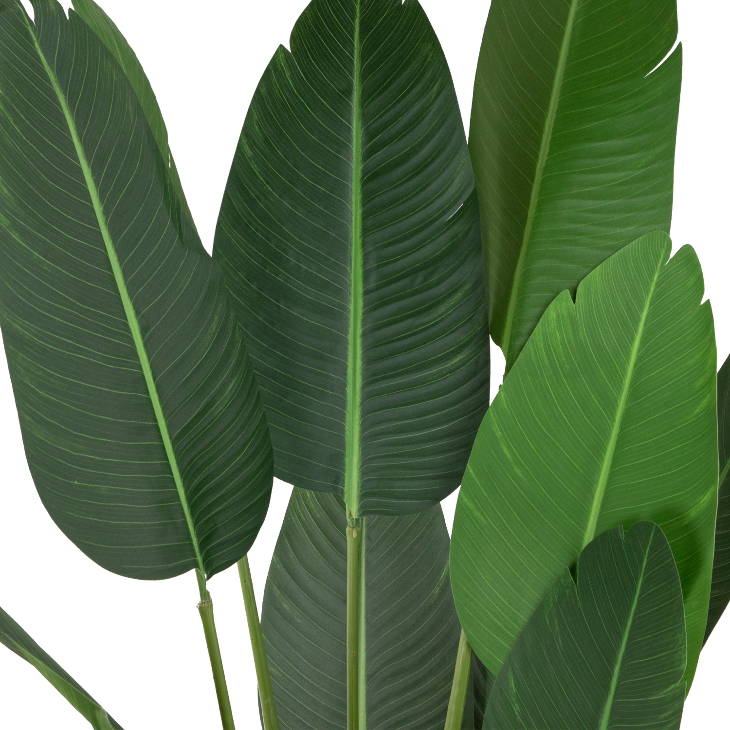 70" Artificial Green Travellers Palm Tree