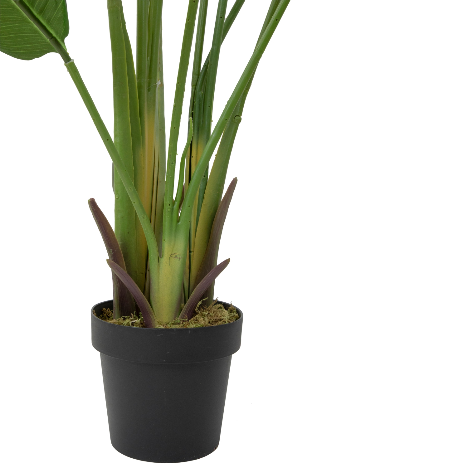 70" Artificial Green Travellers Palm Tree