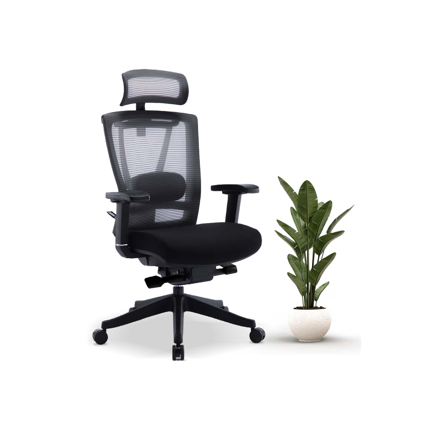 MotionGrey Cloud Mesh Series Executive Ergonomic Computer Desk Home Office Chair with 4D Armrest & Lumbar Support - Black