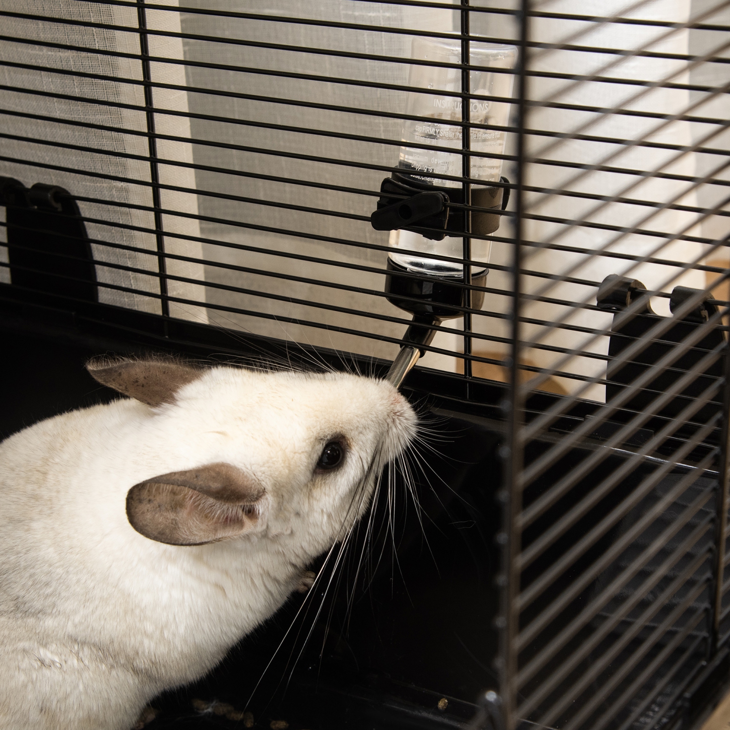 PawHut – Cage de cochon de Guinée, panier de lapin à 3 niveaux, cage de rat Chinchilla, petit habitat portatif pour animaux avec plat de nourriture,