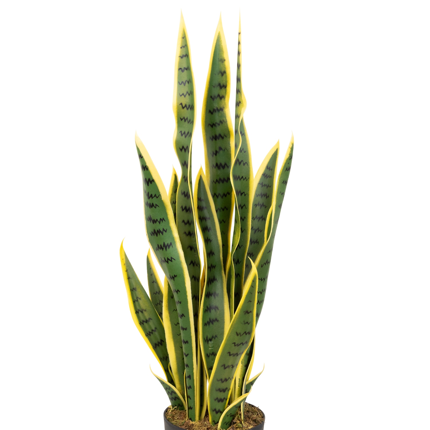 Real Touch Artificial Potted Striped Leaf Dracaena Snake Plant - 29"